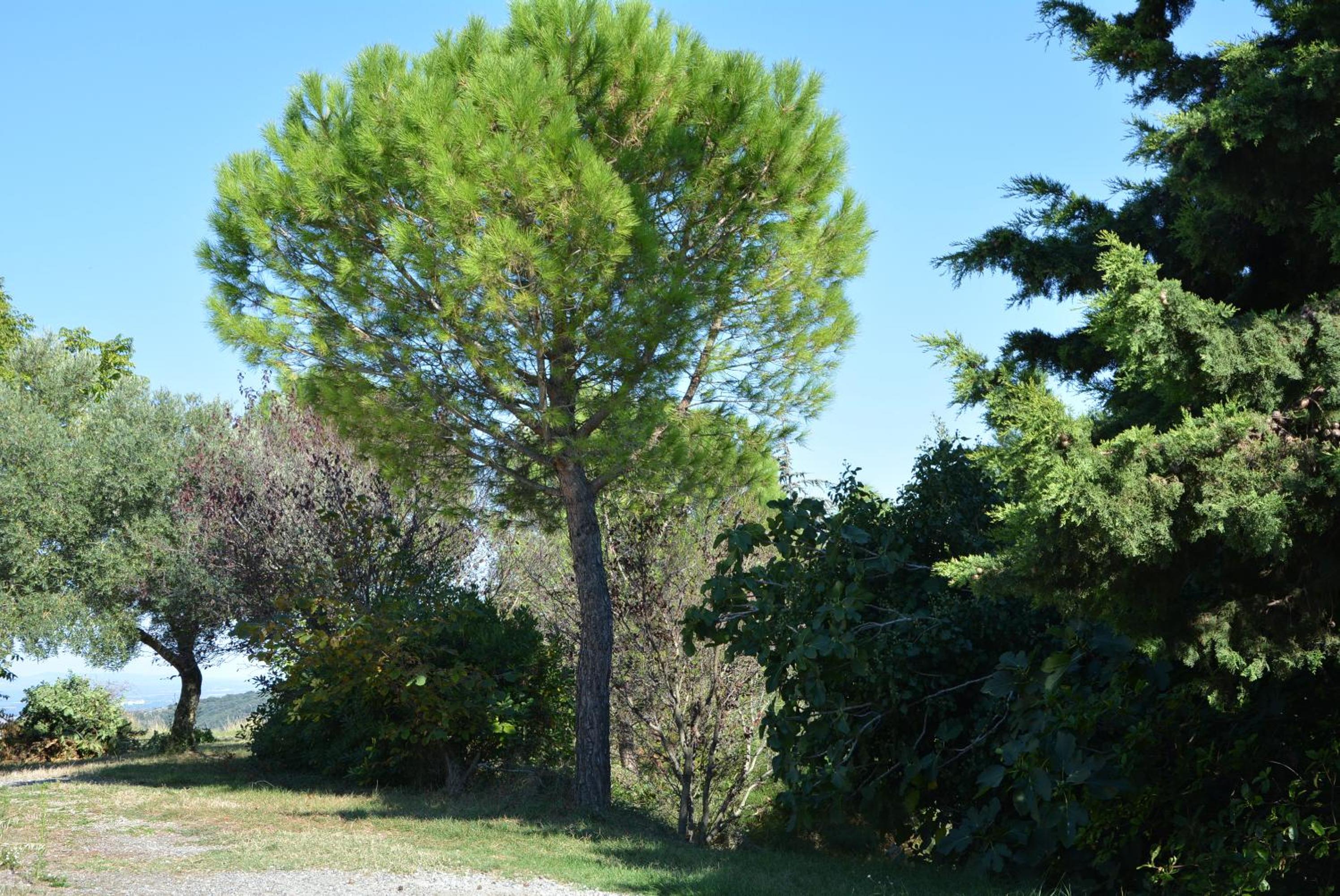 Domaine de Courbieres