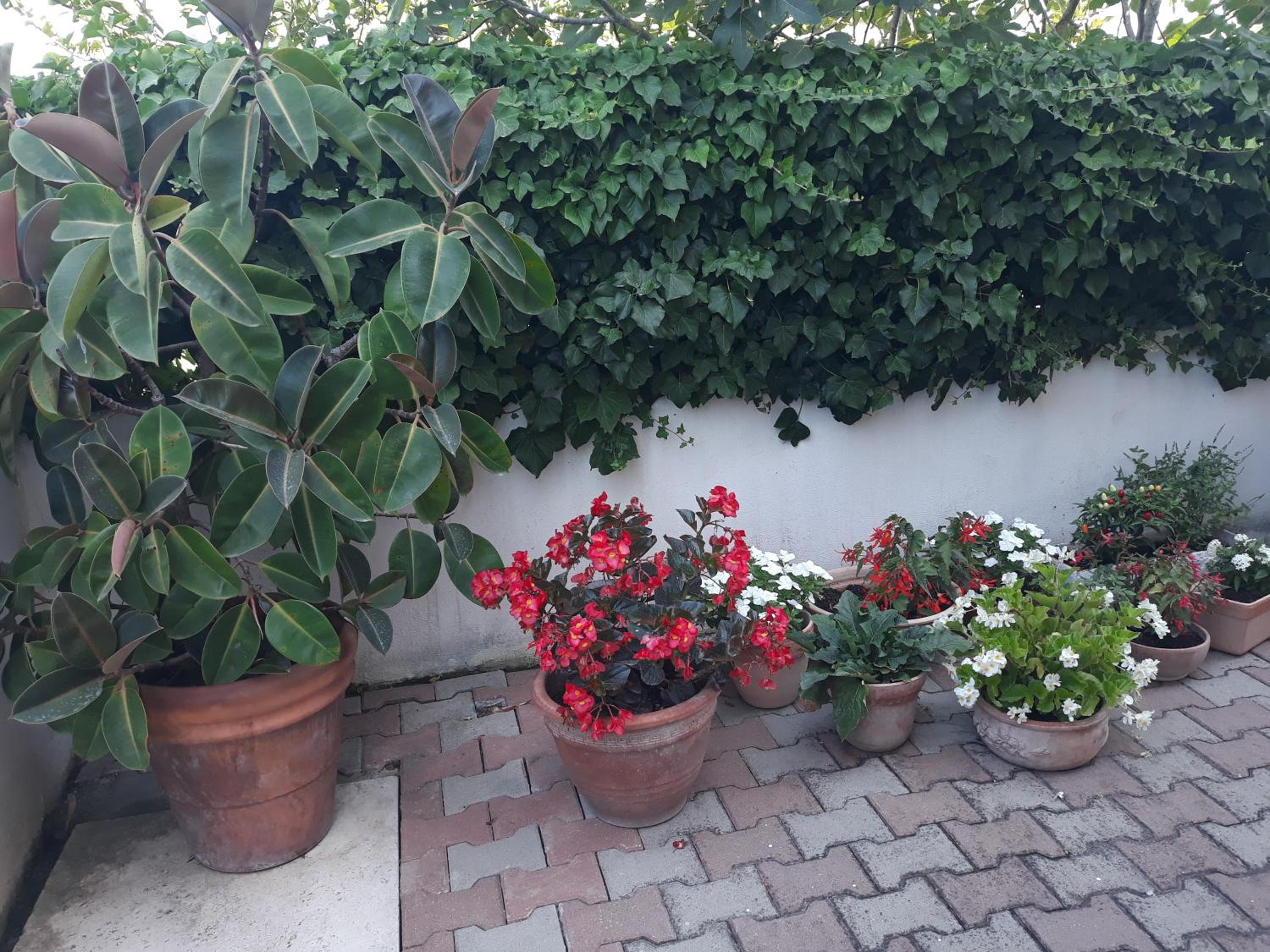 Photo 26
