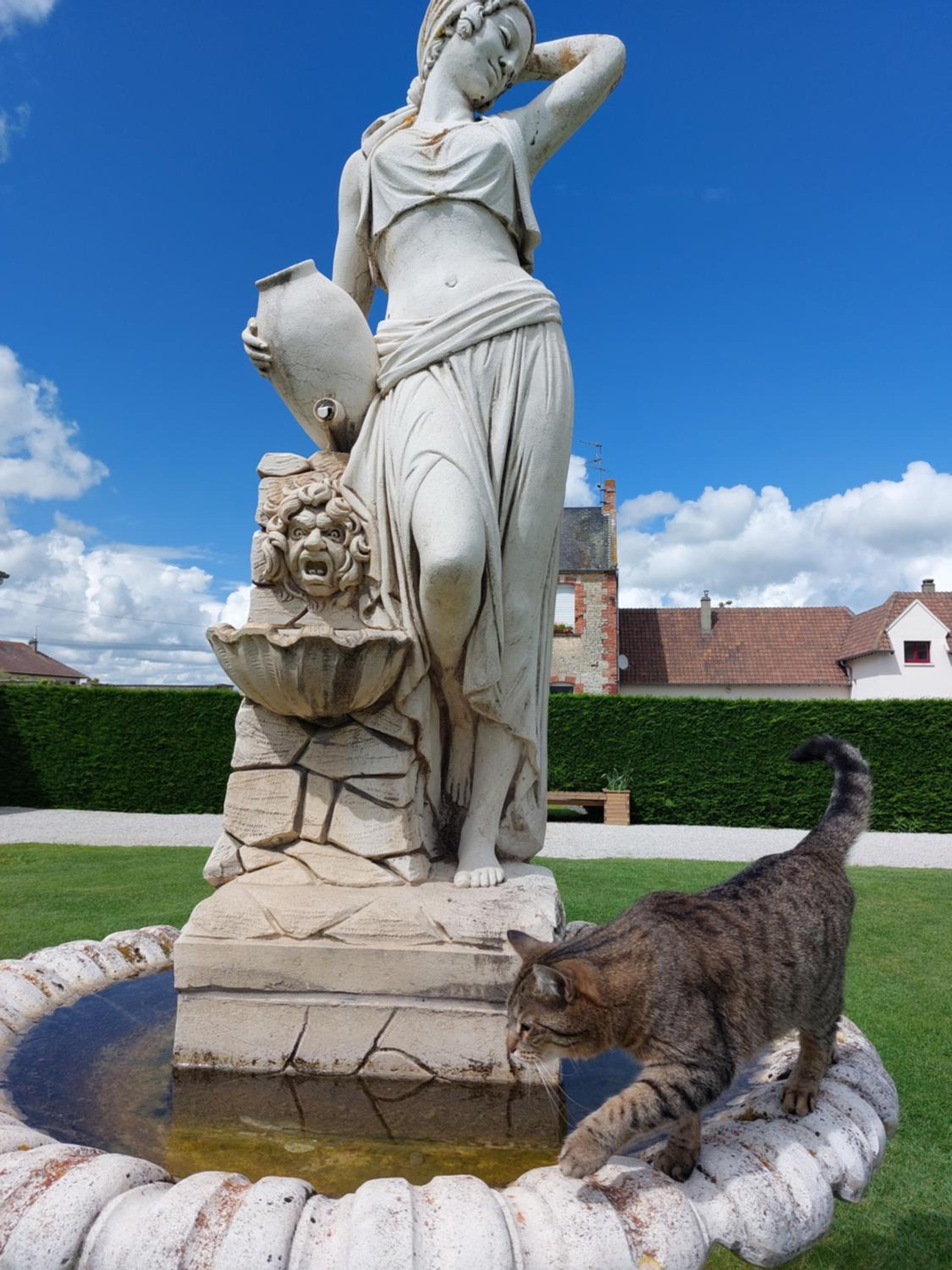 Photo 33