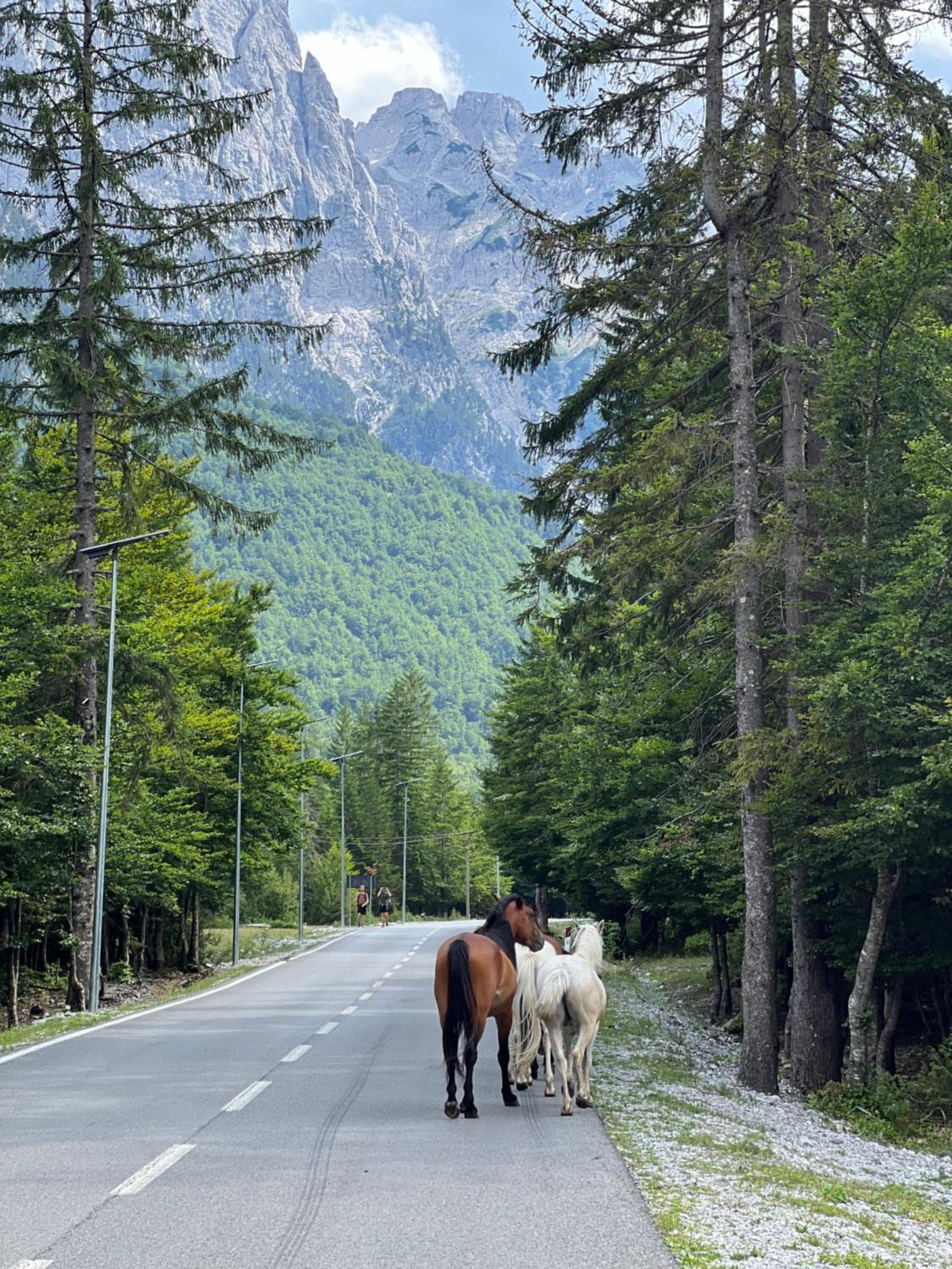 Hotel Krojet e Rrogamit photo 2