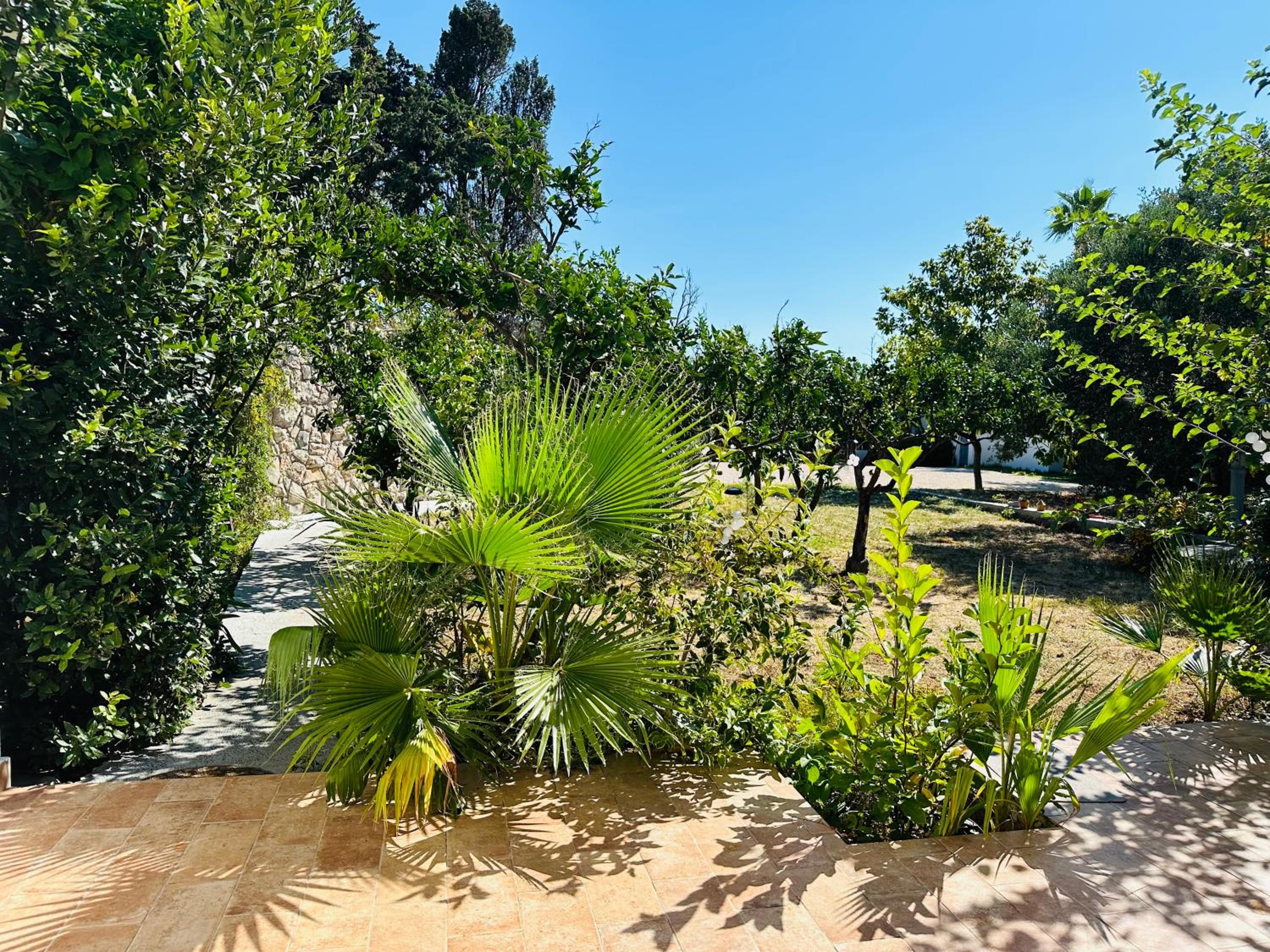Hacienda Murter