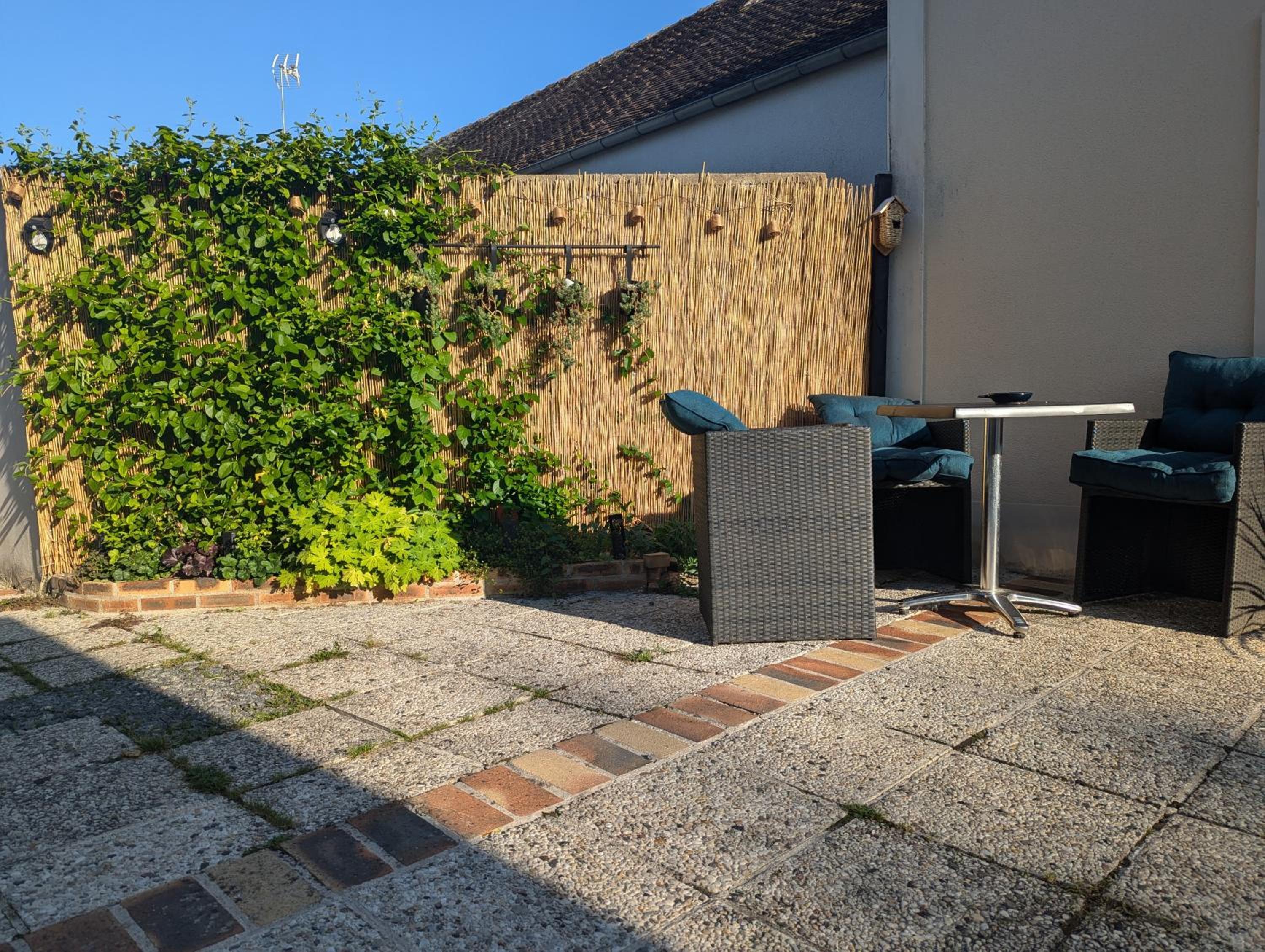 Photo 12