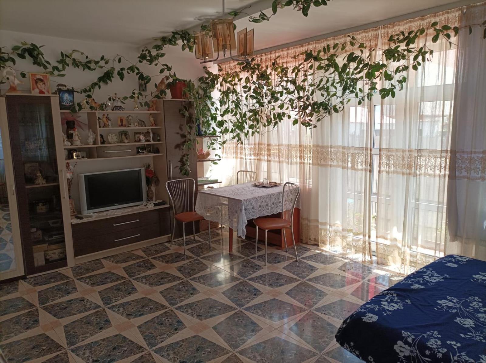 Vila Mihai view 3