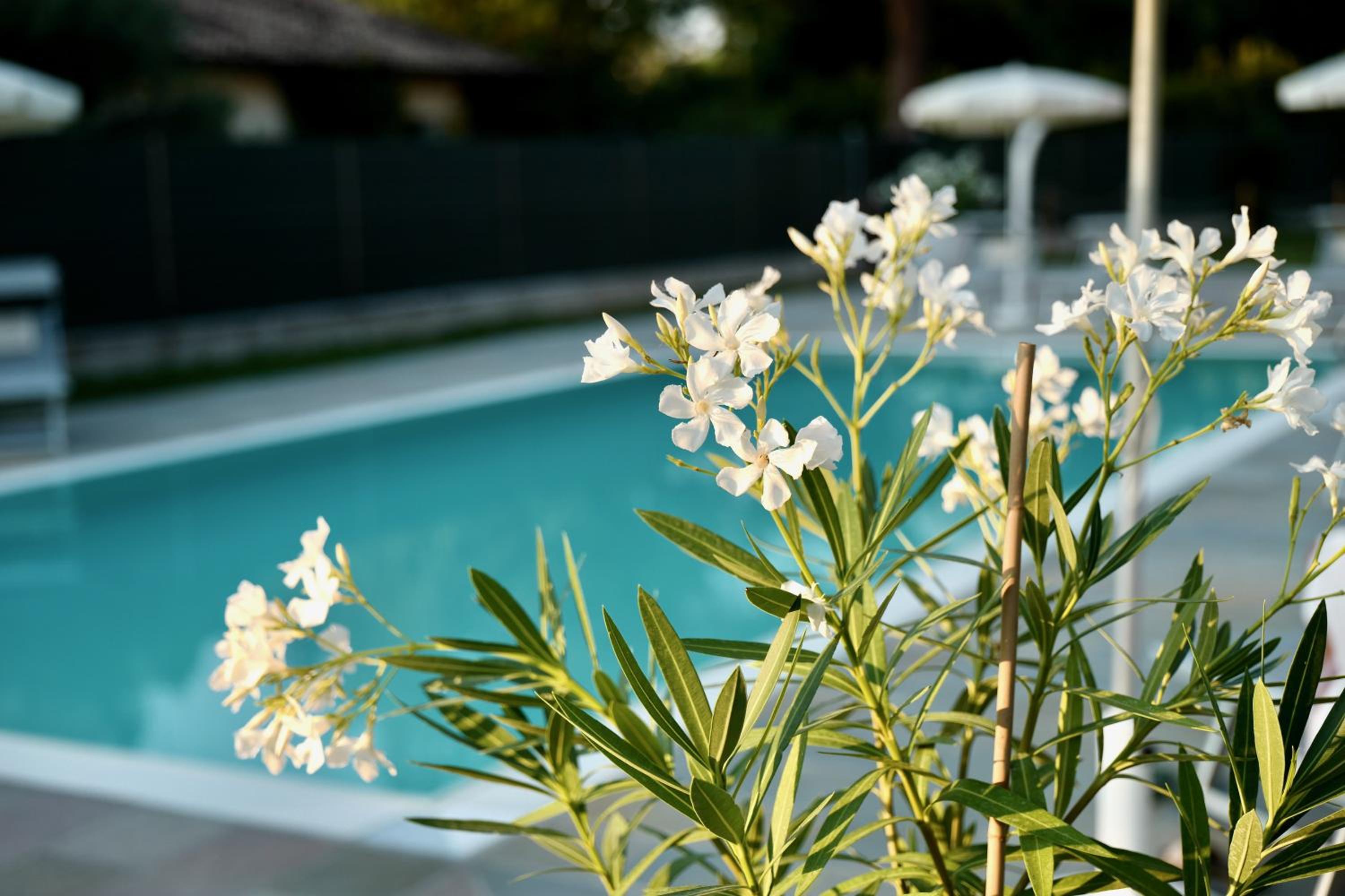 Caterina Residence