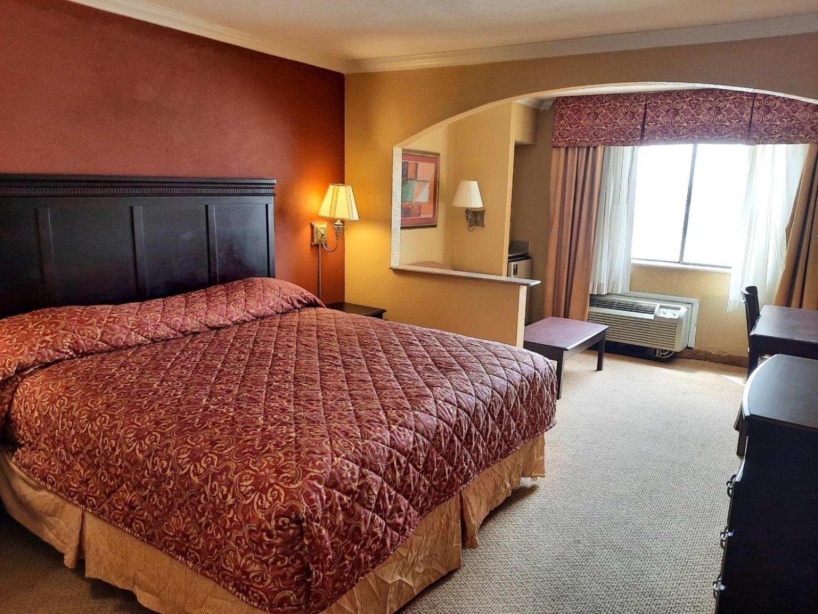 Regency Inn & Suites view 5