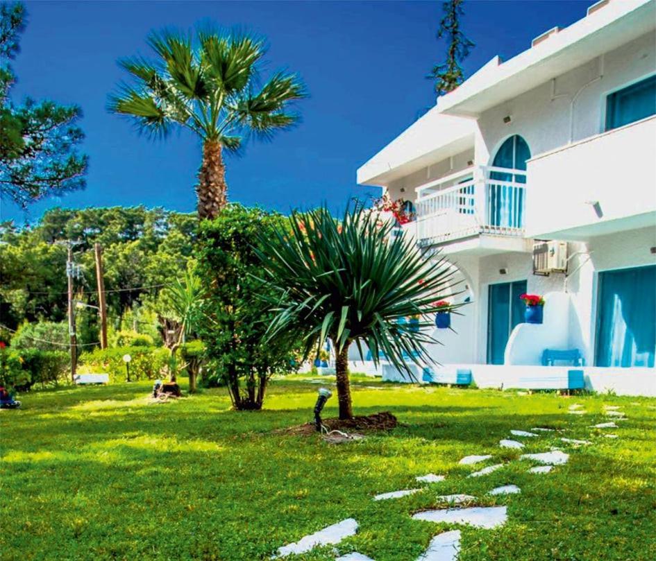 Trees Art Hotel Suites