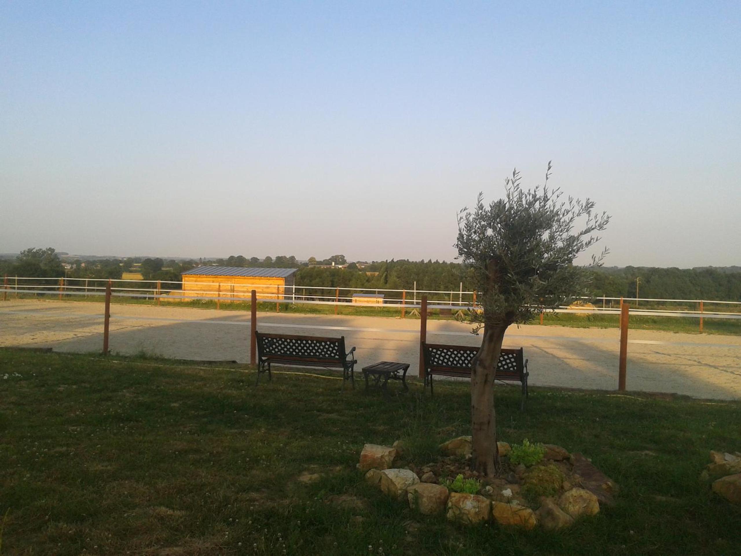 Photo 11