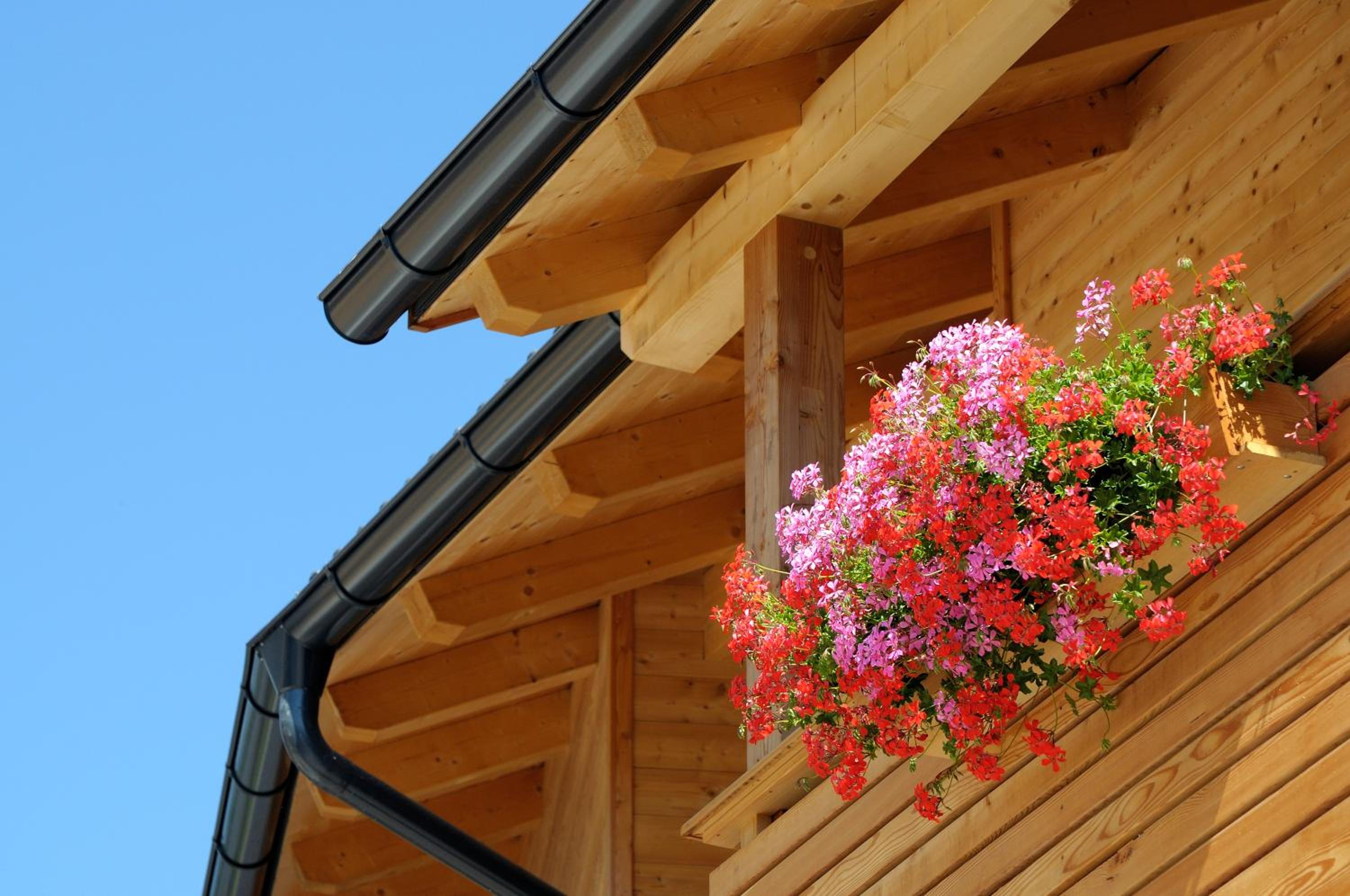 Balcony & Terrace