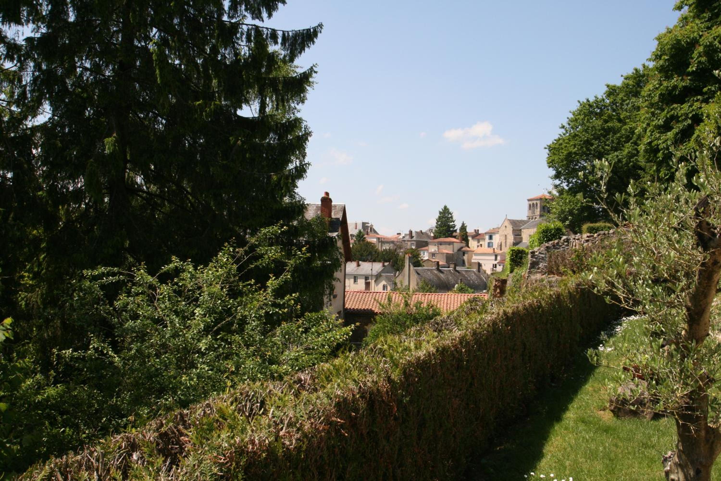 Photo 23