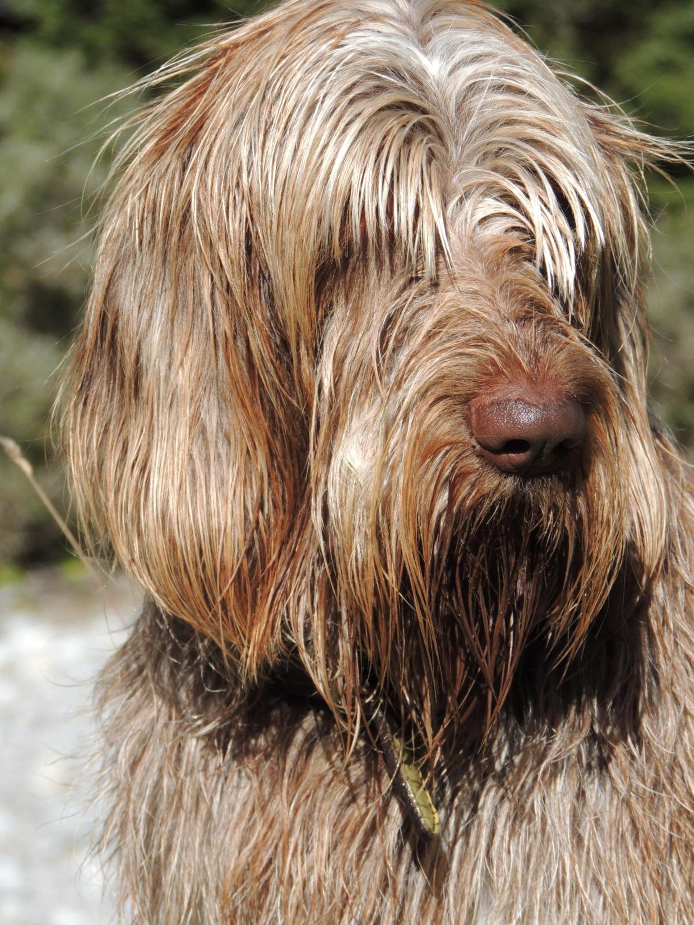 Pension Muggengrat