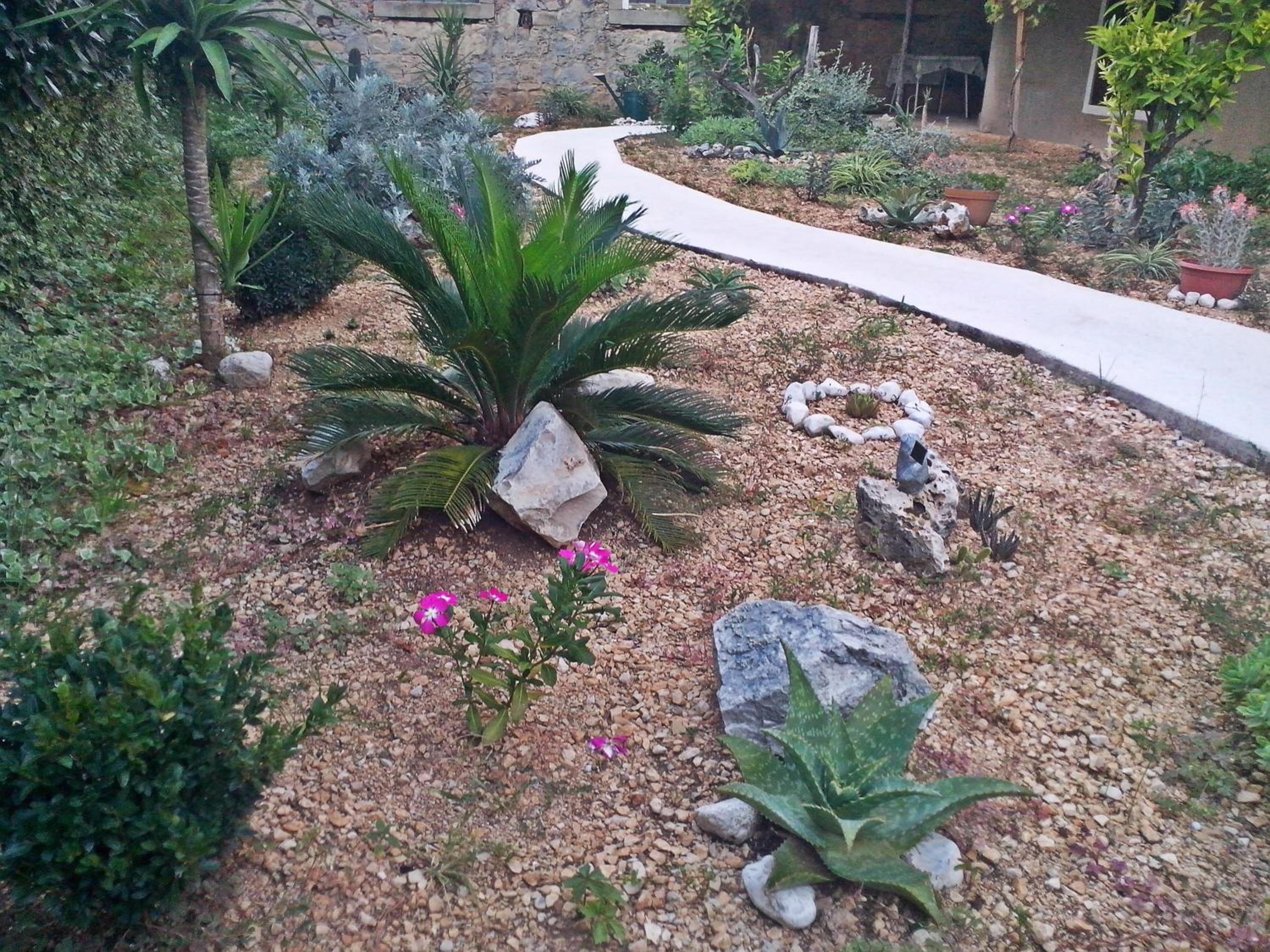 Photo 24