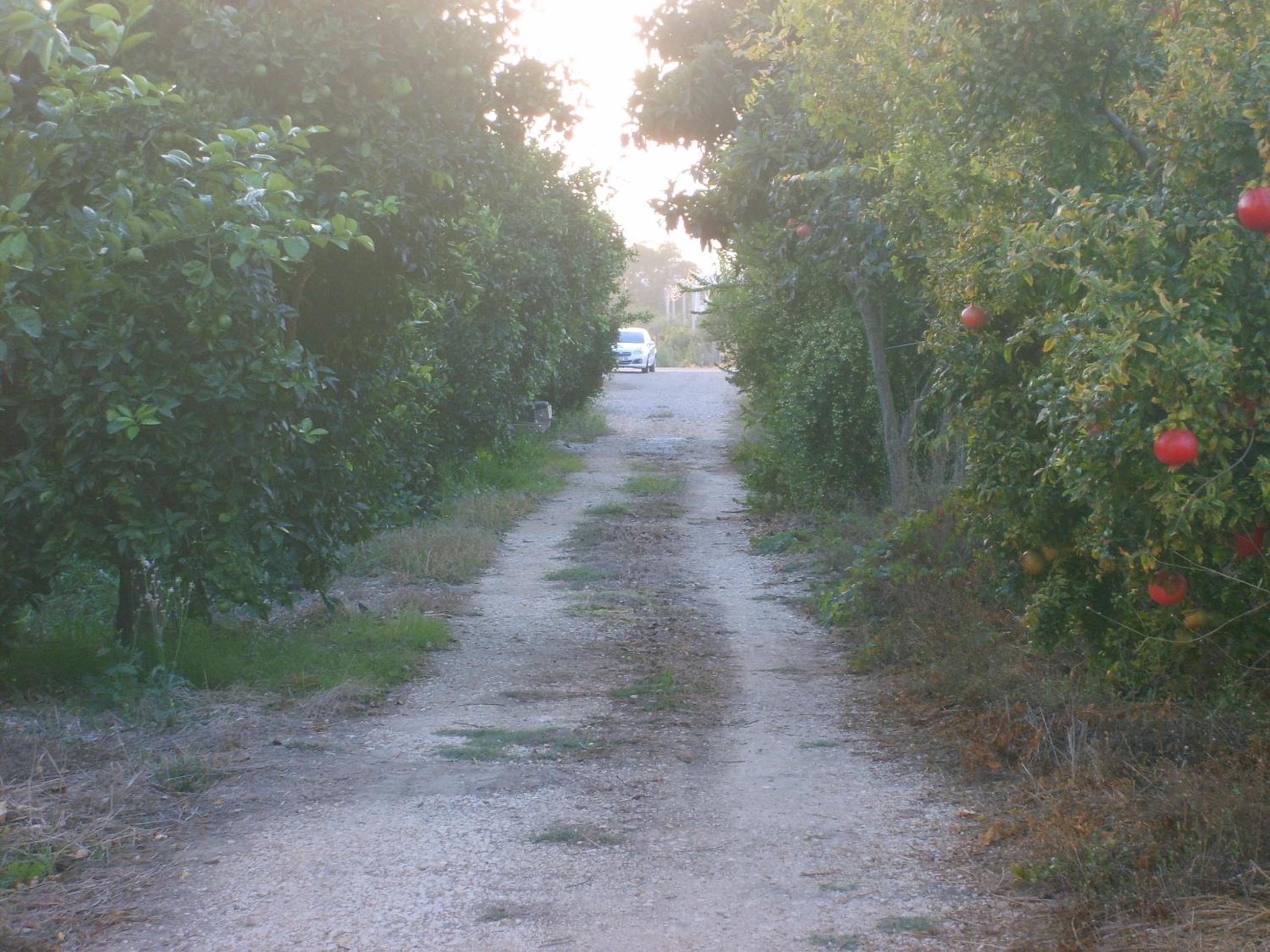 Photo 28