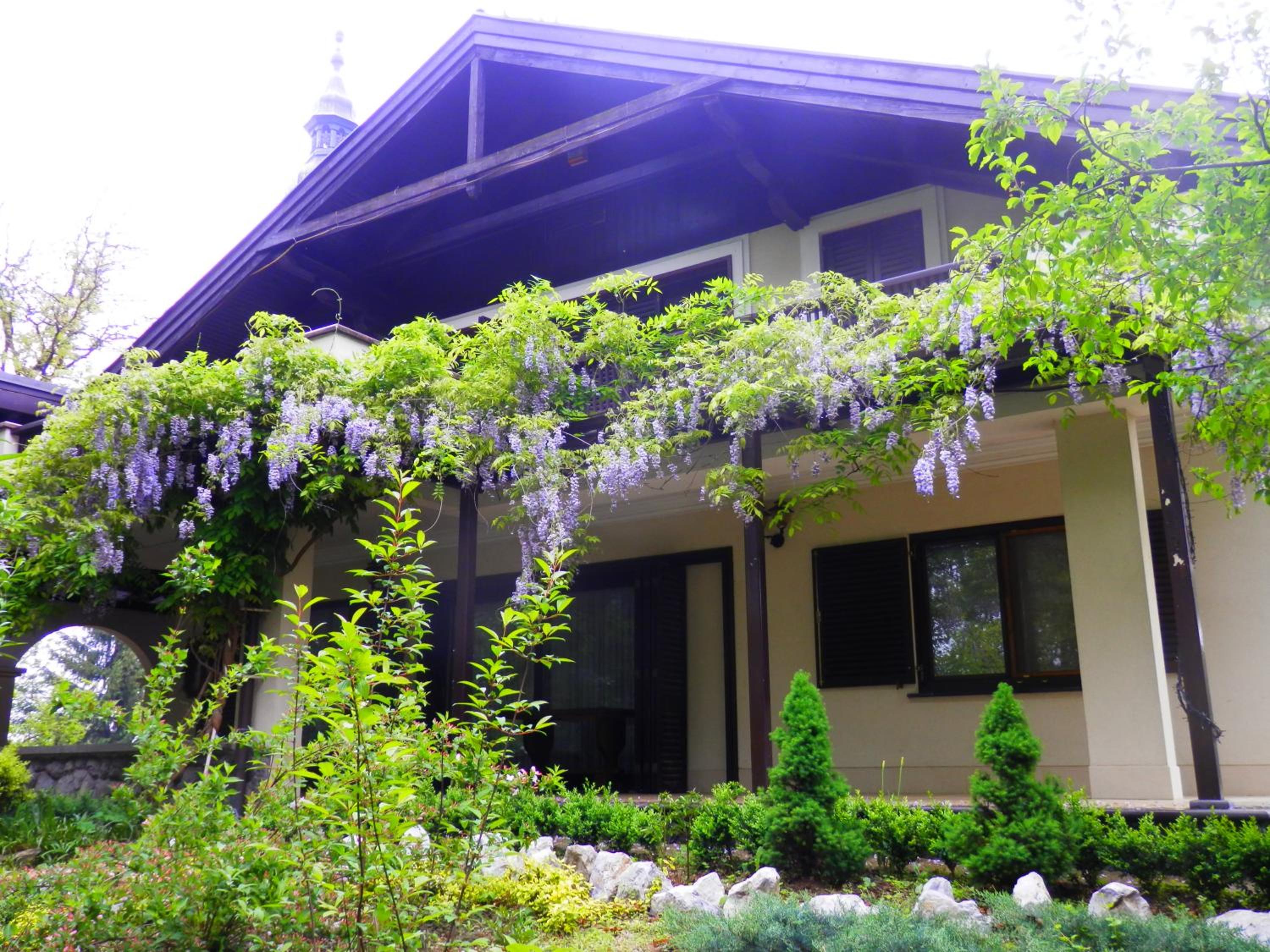 Guest House Zajec view 5