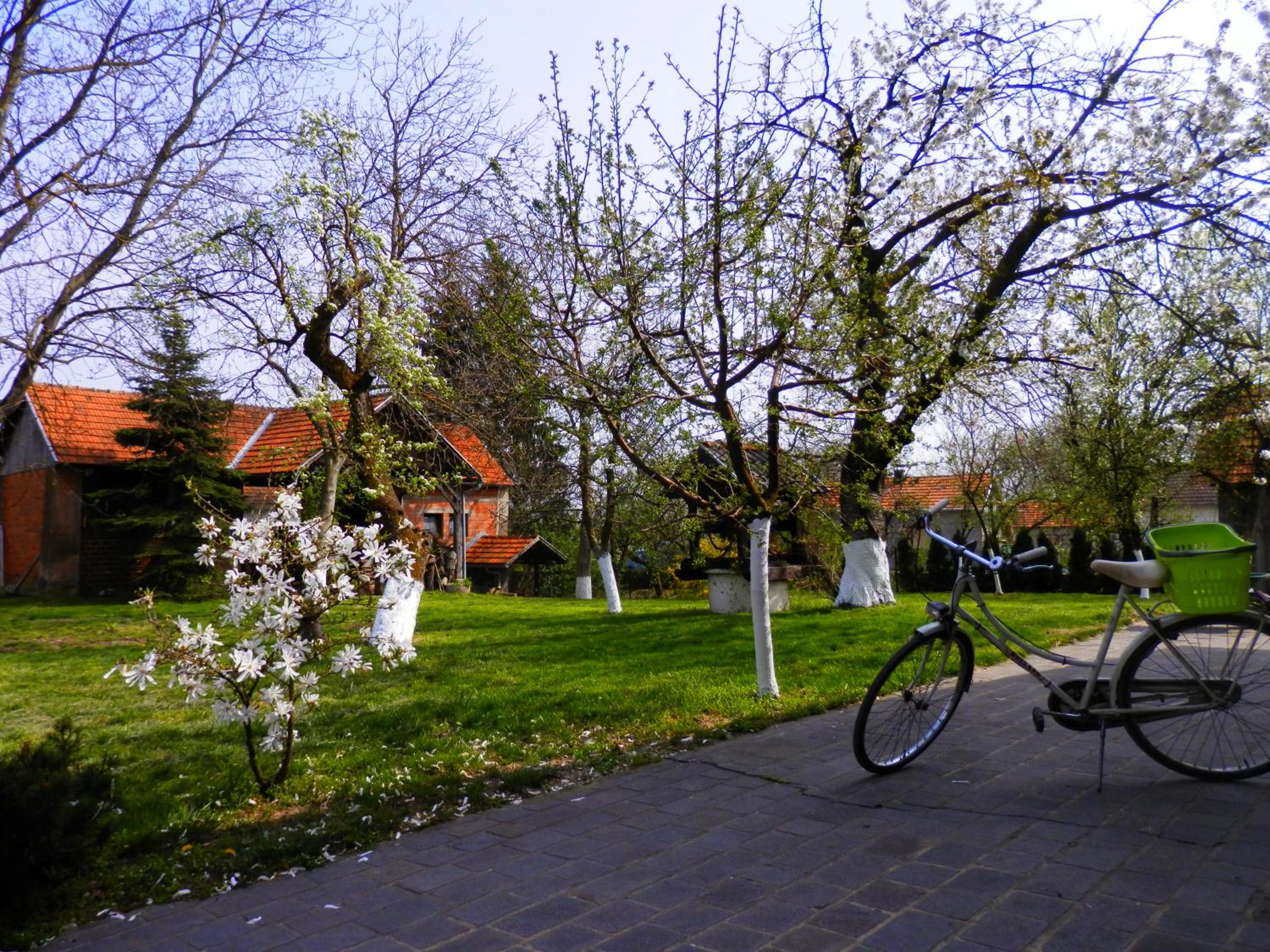 Photo 29