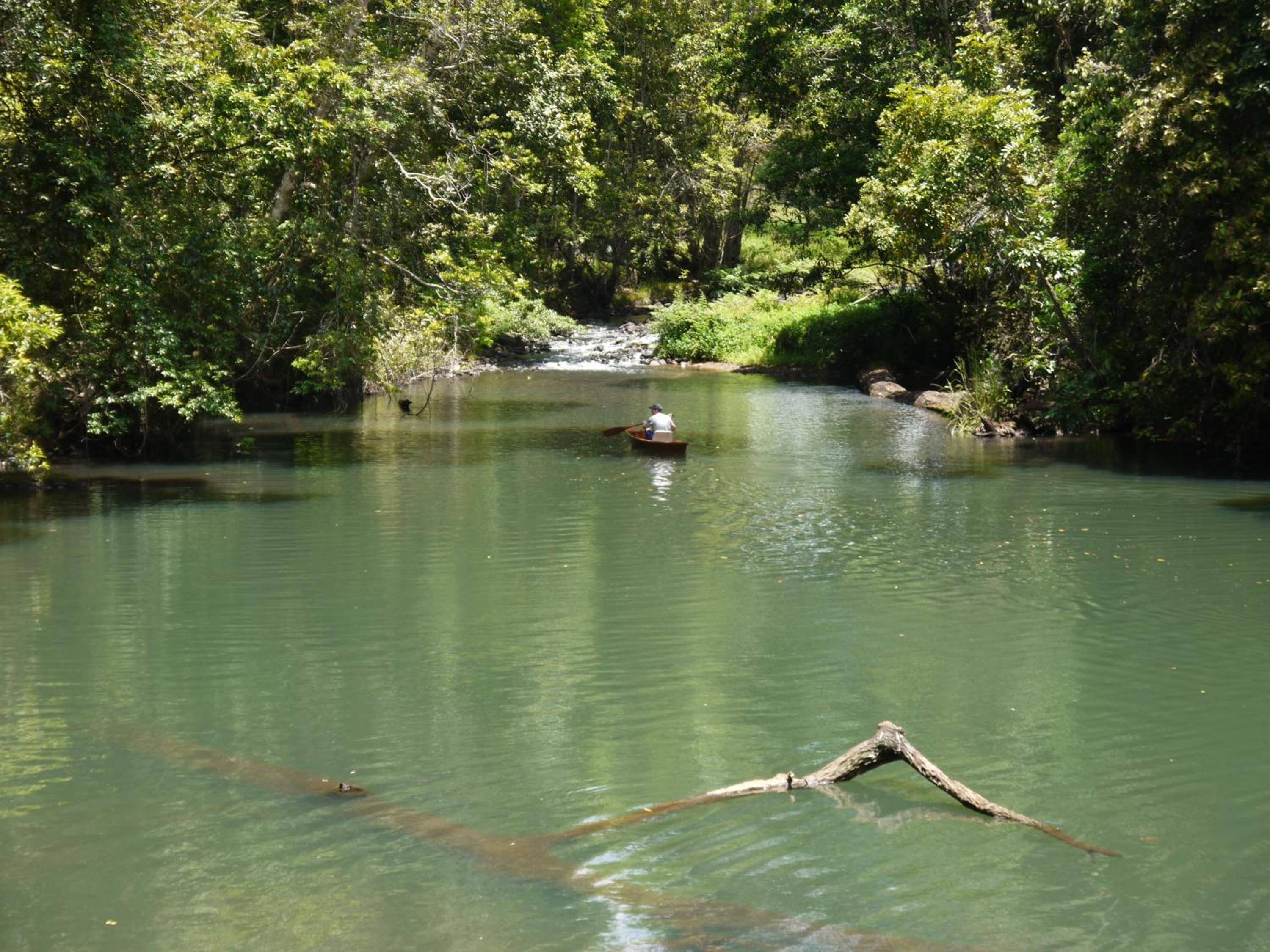 Figtree Getaway