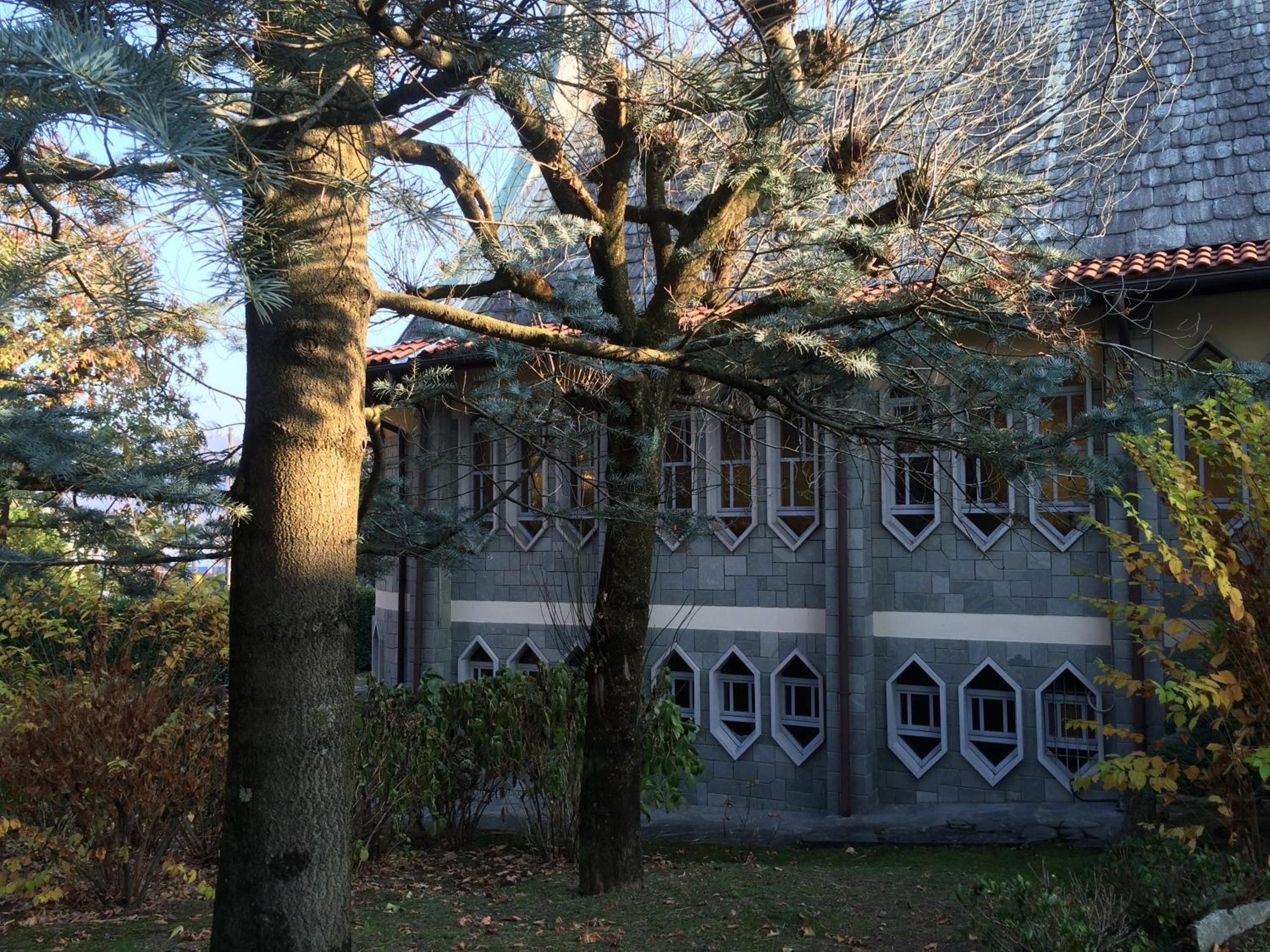 Photo 49