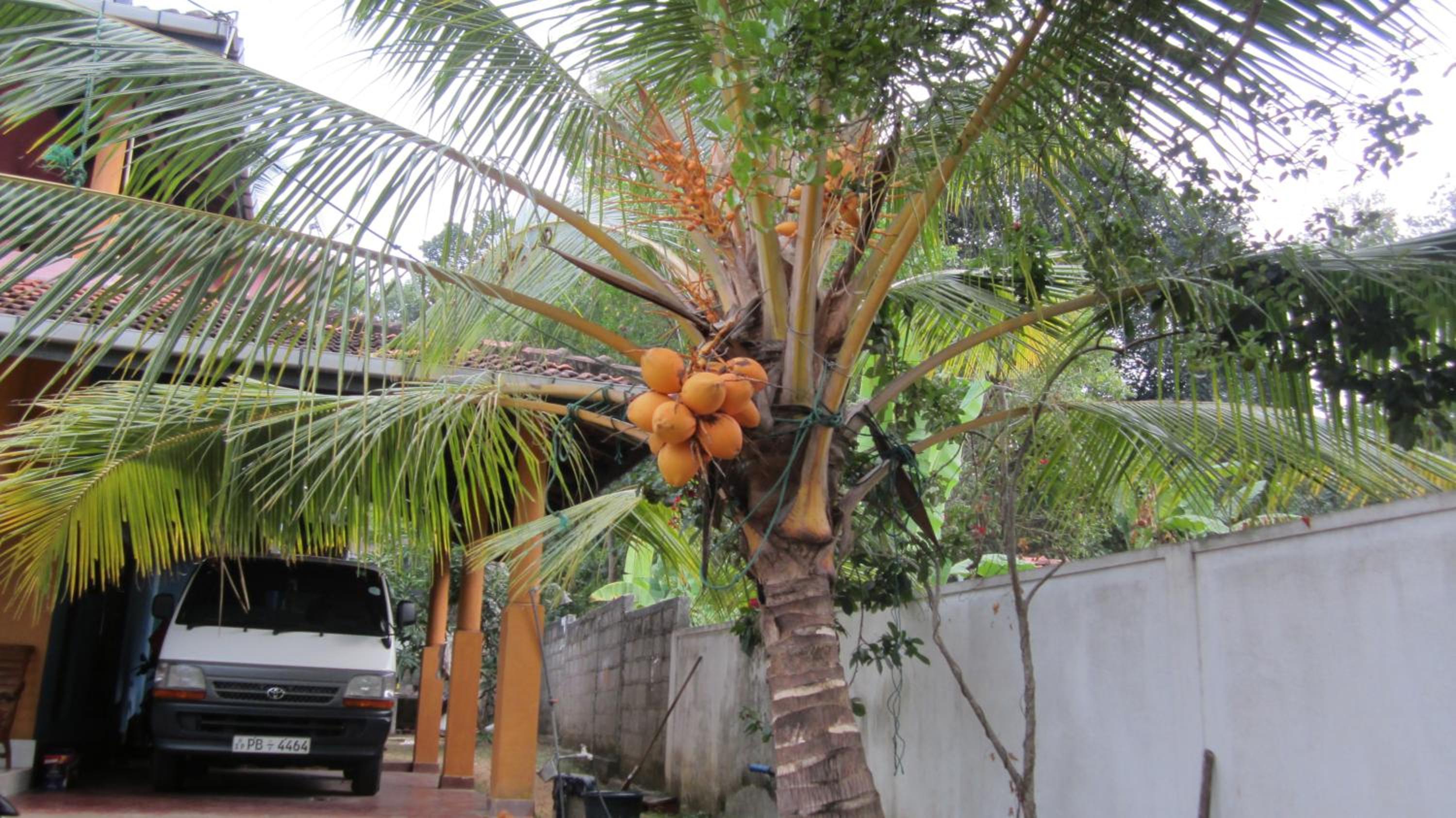 Ranith Villa