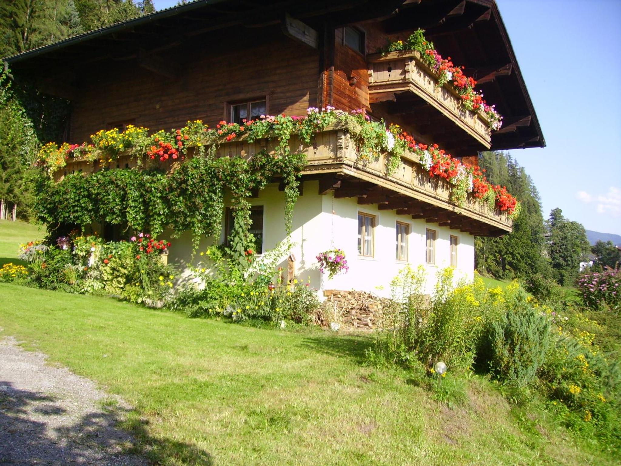 Ellmauhof
