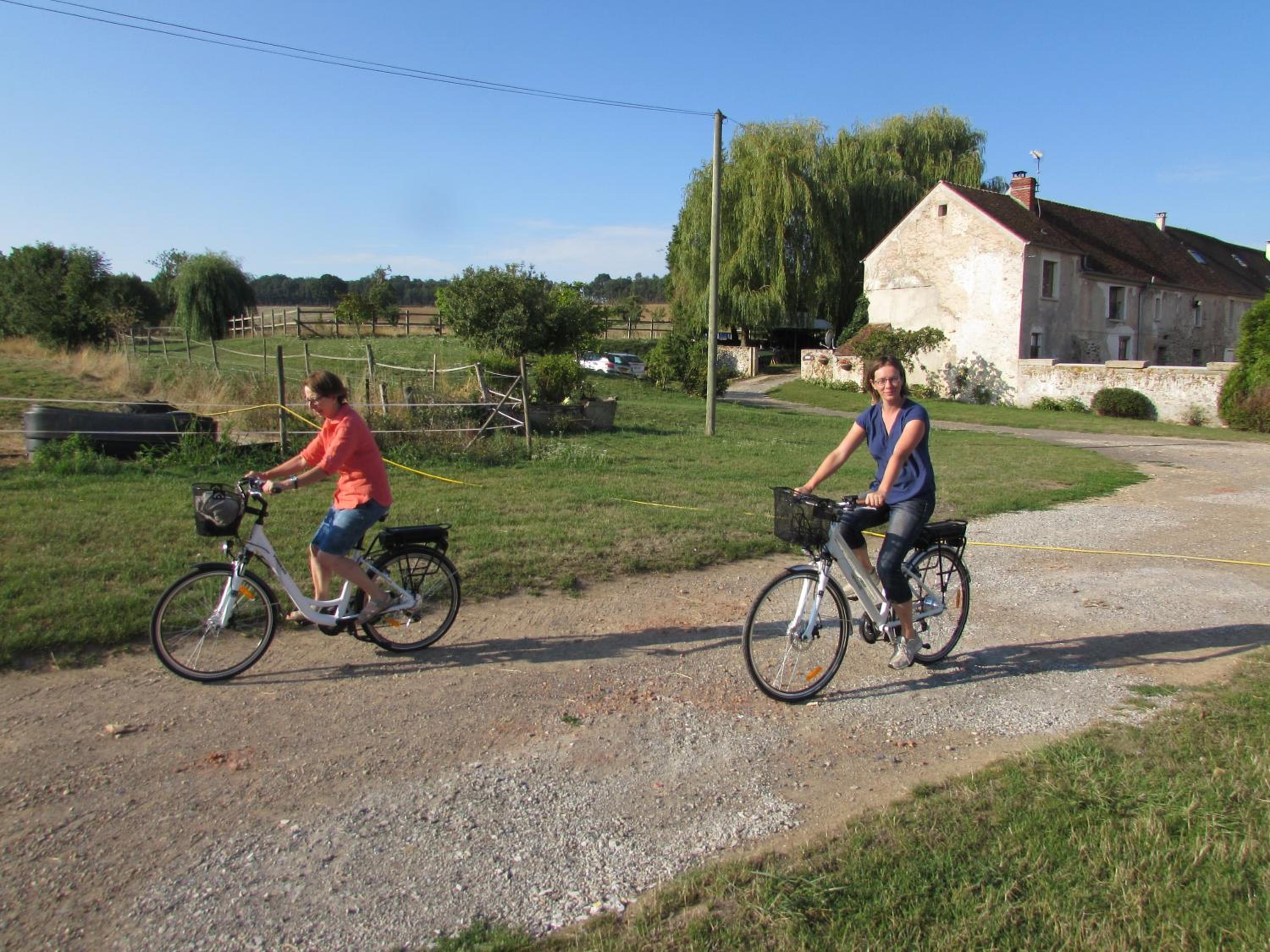 Photo 23