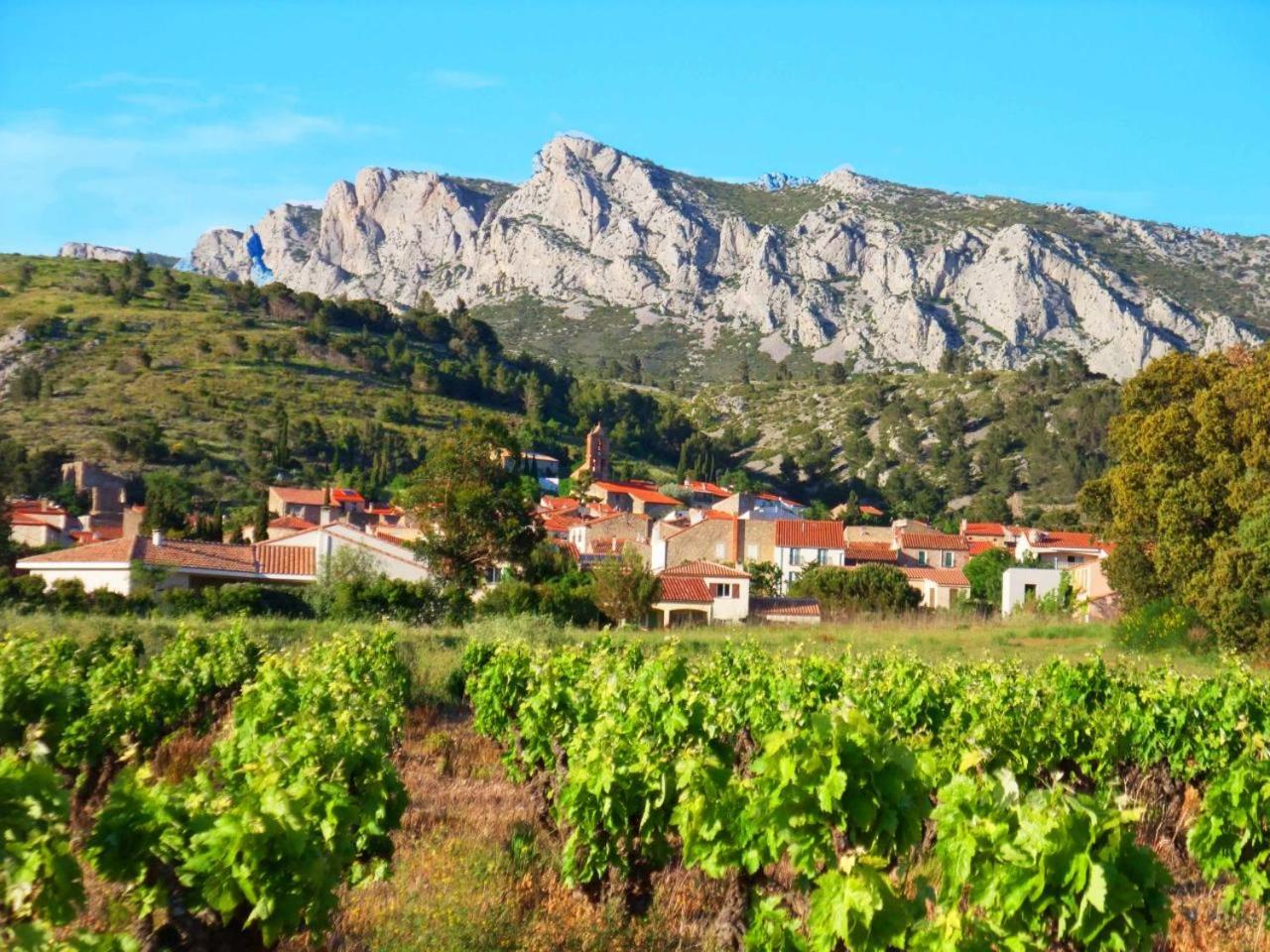 Domaine Vents Du Sud view 2