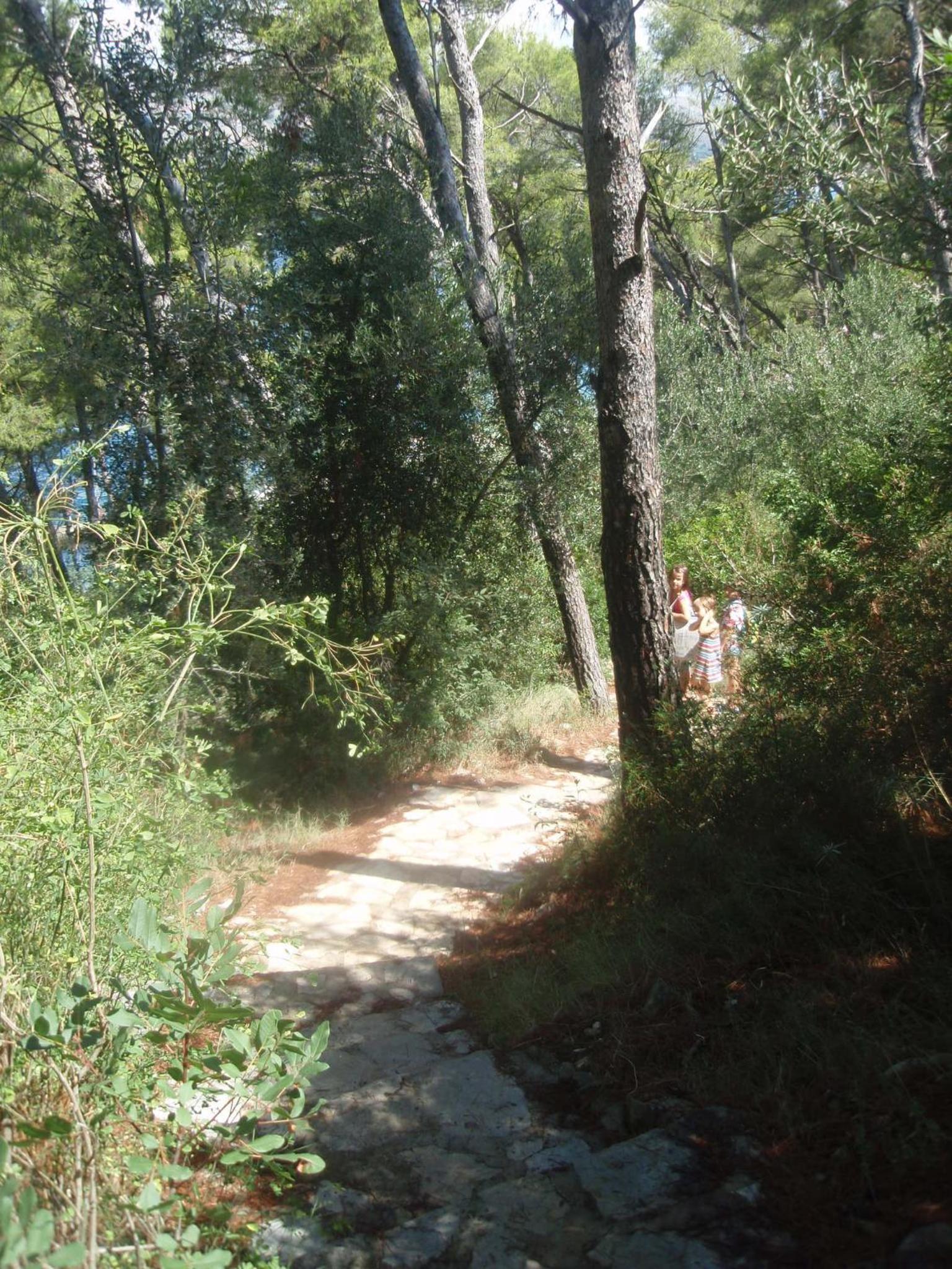Photo 22
