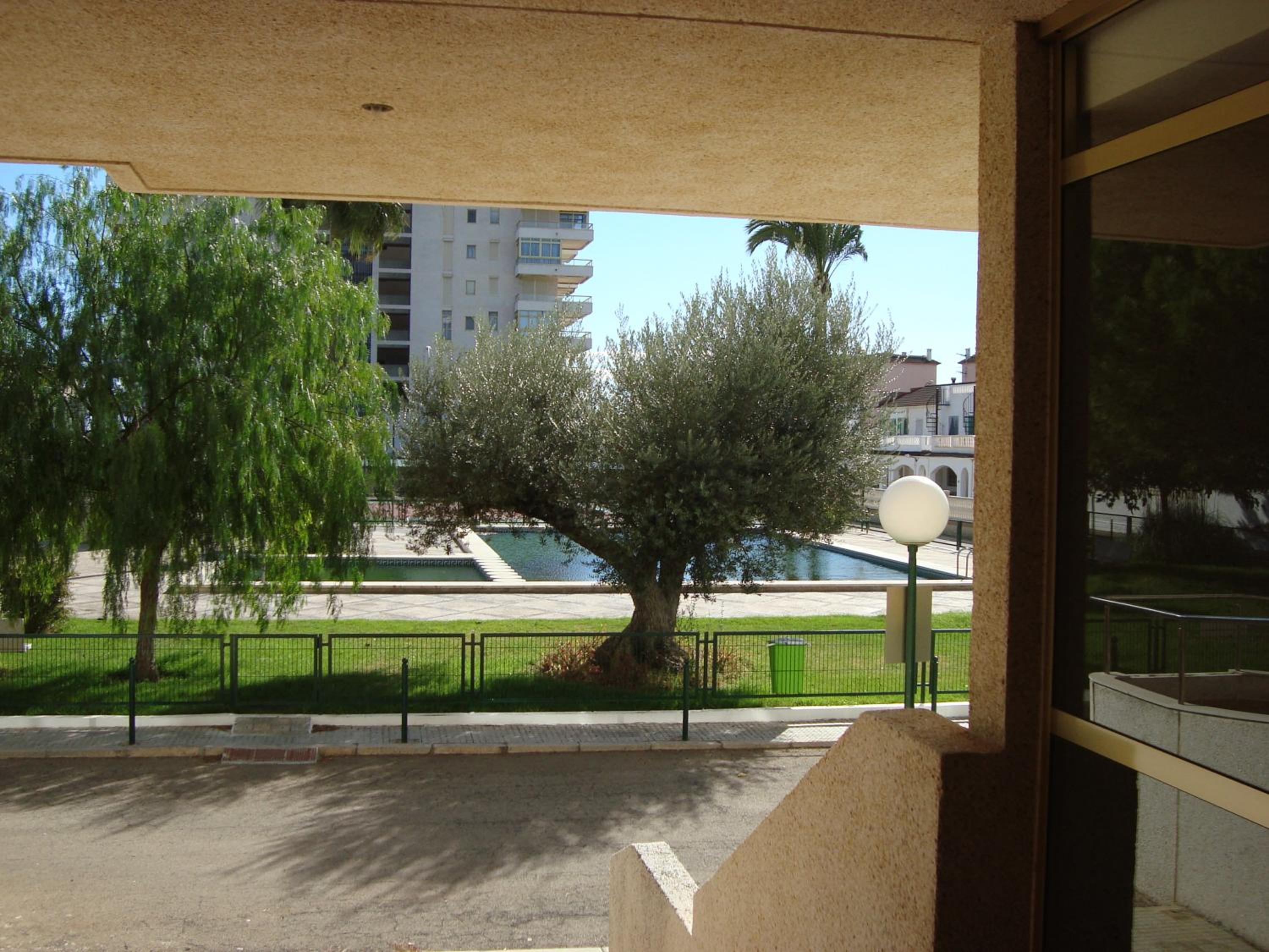Photo 42
