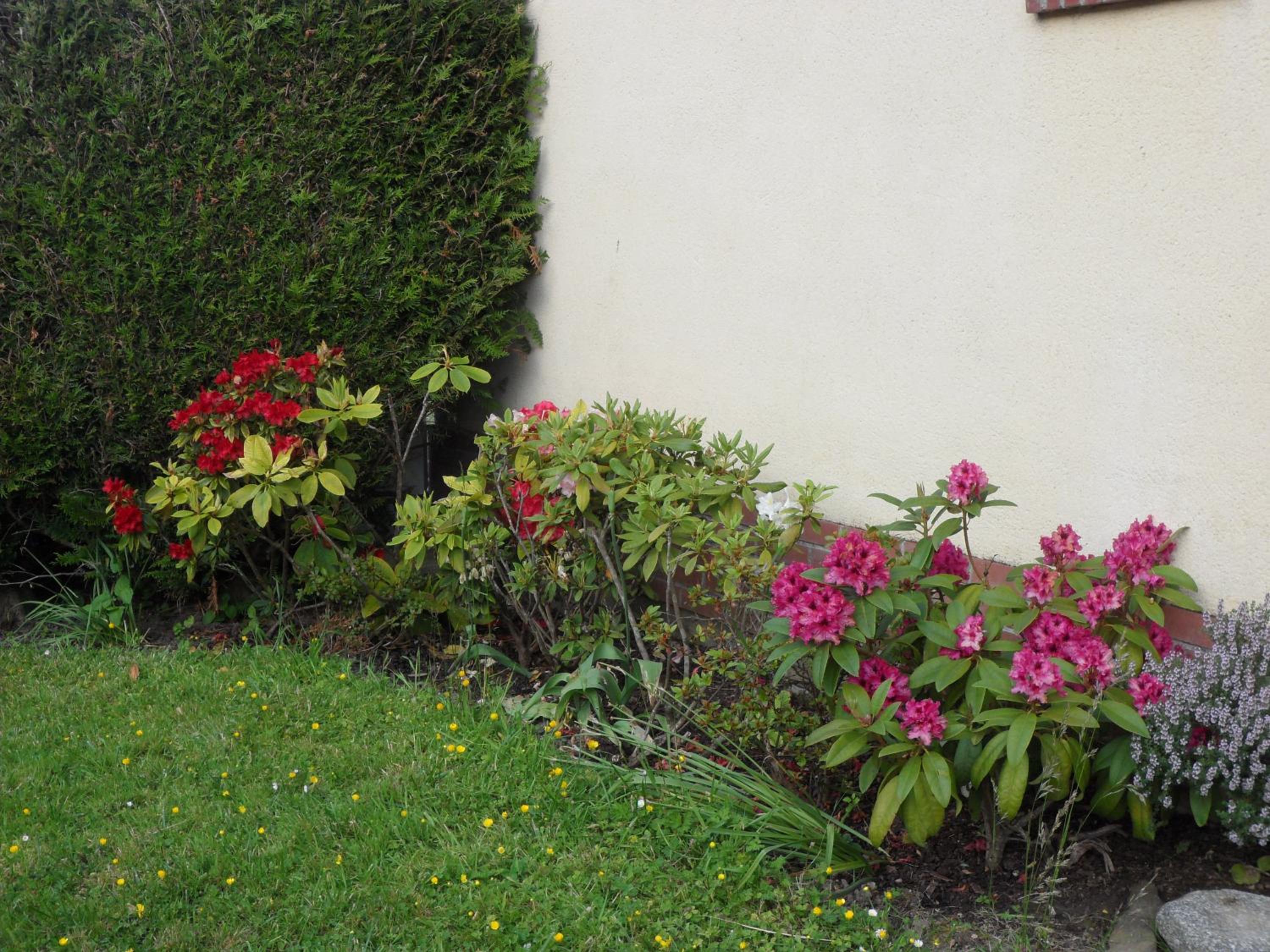Le Gite d'en Bas - Property Image 20