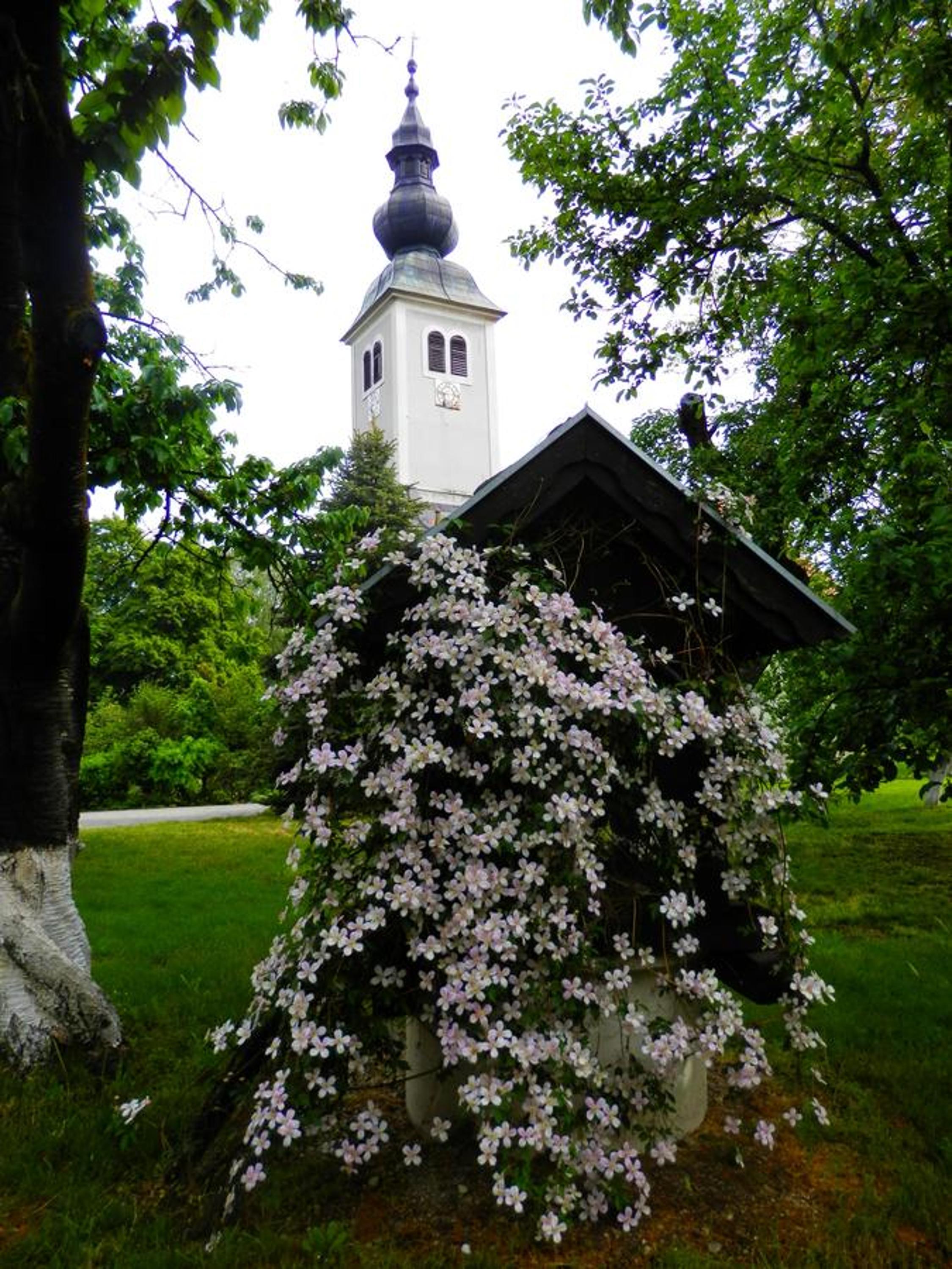 Photo 30