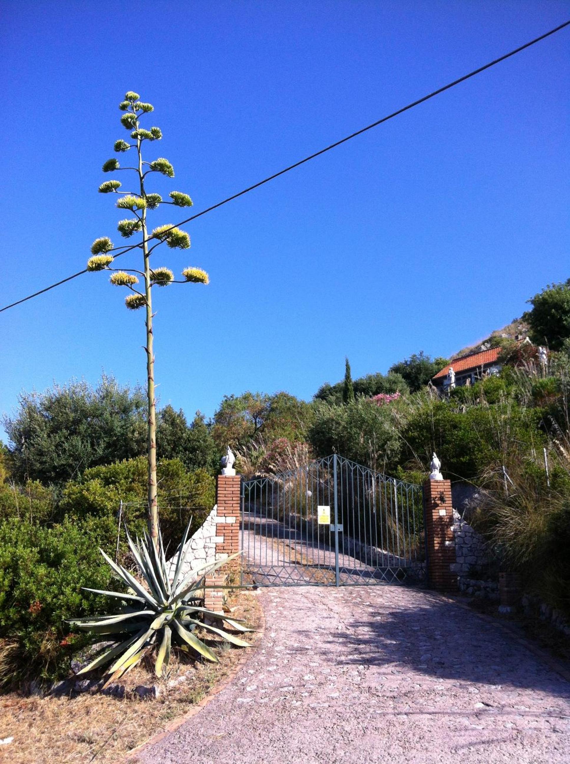 Photo 46