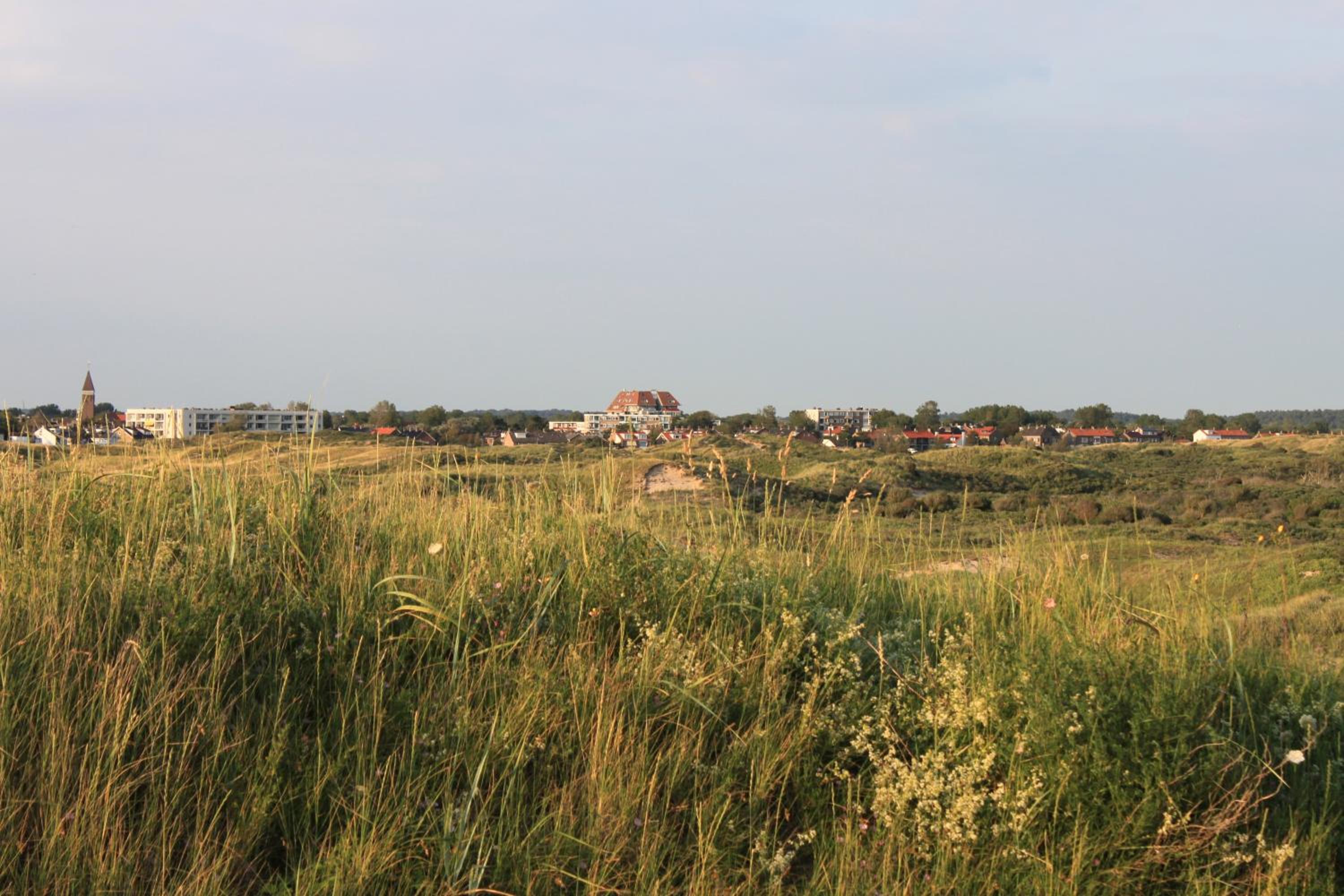 Photo 28