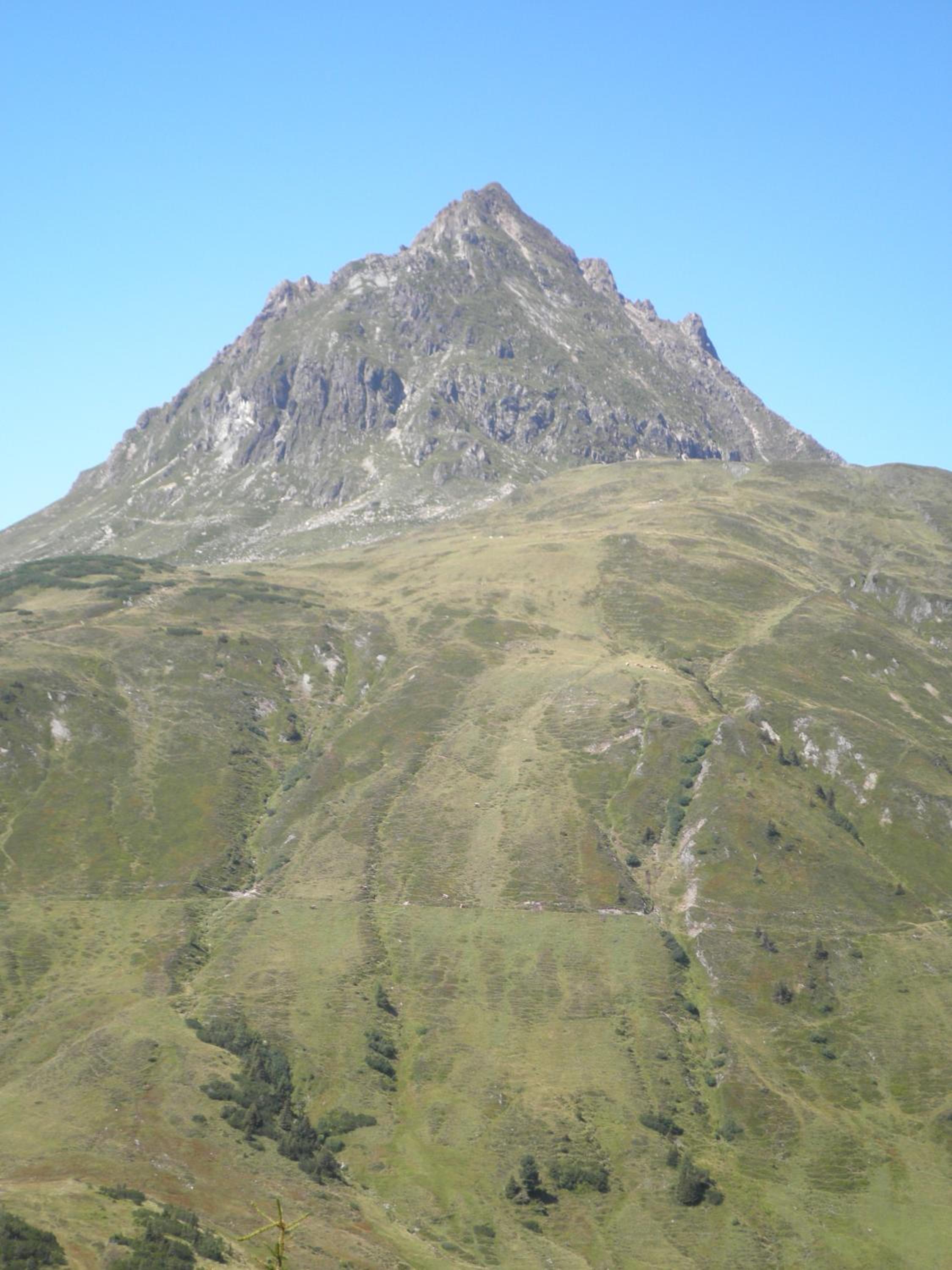 Hagauhof