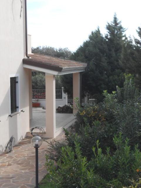 Photo 31