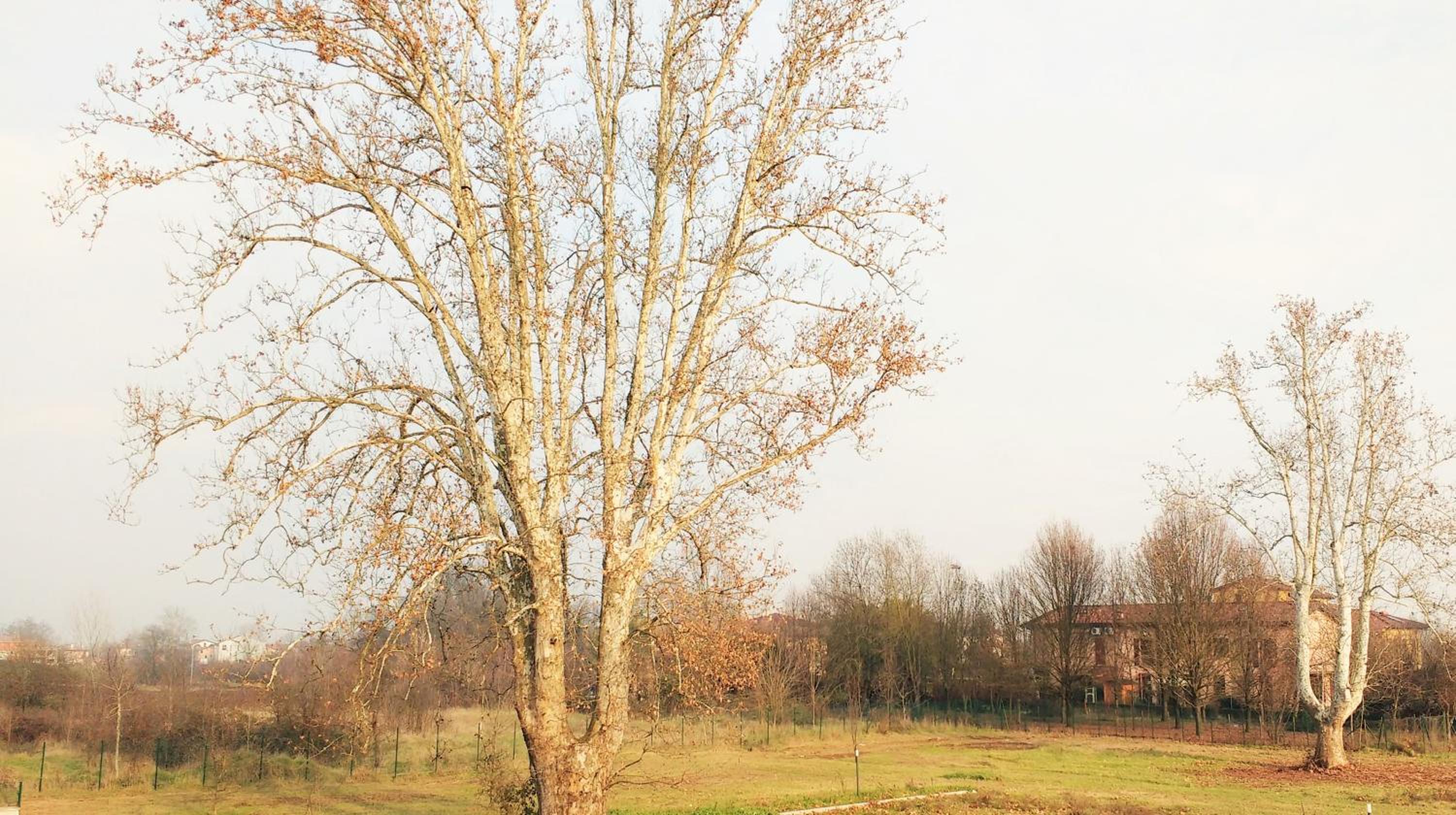 Villa Conti Zambonelli