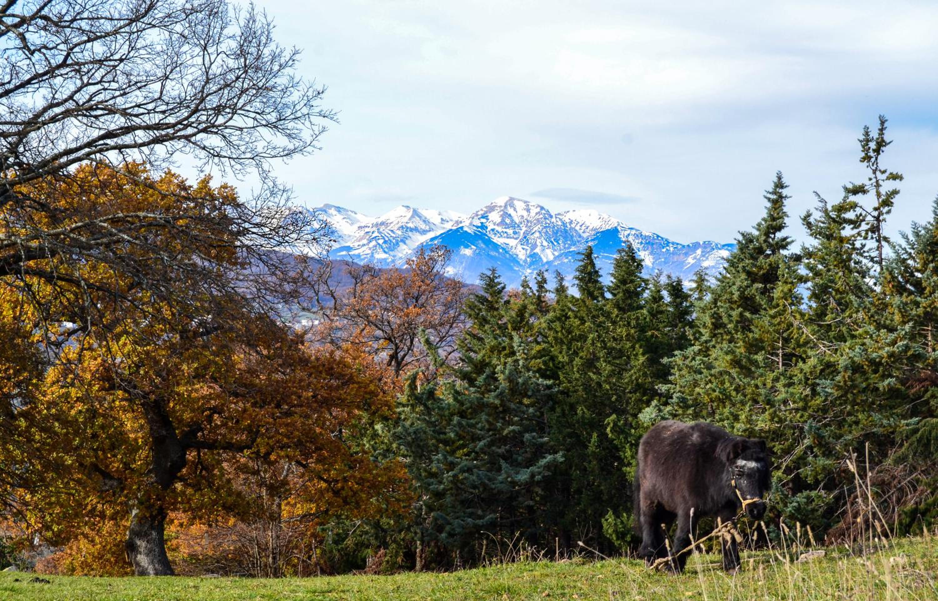 Agriturismo Montagnola Abruzzo