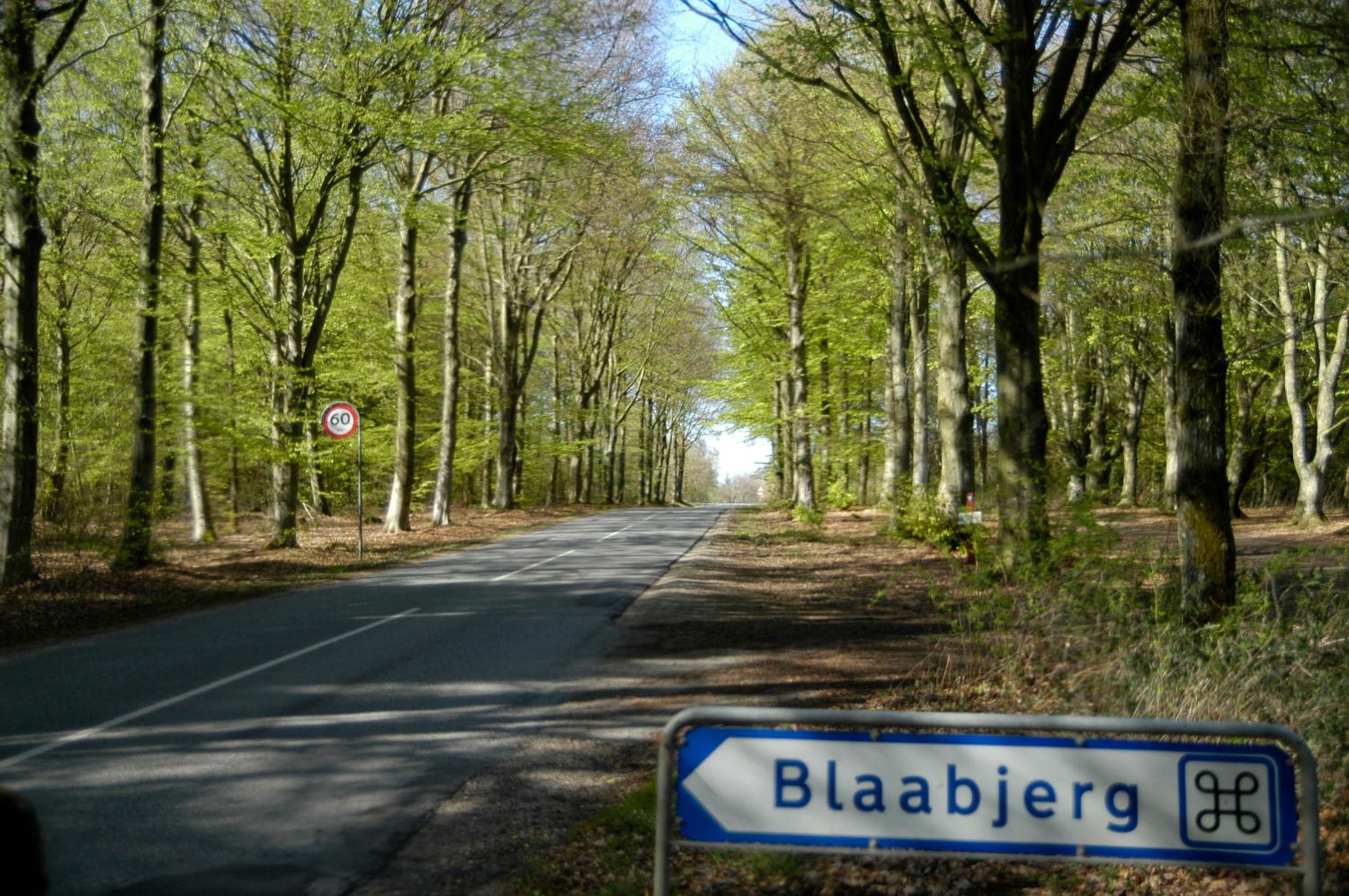 Nr. Nebel Overnatning Hostel