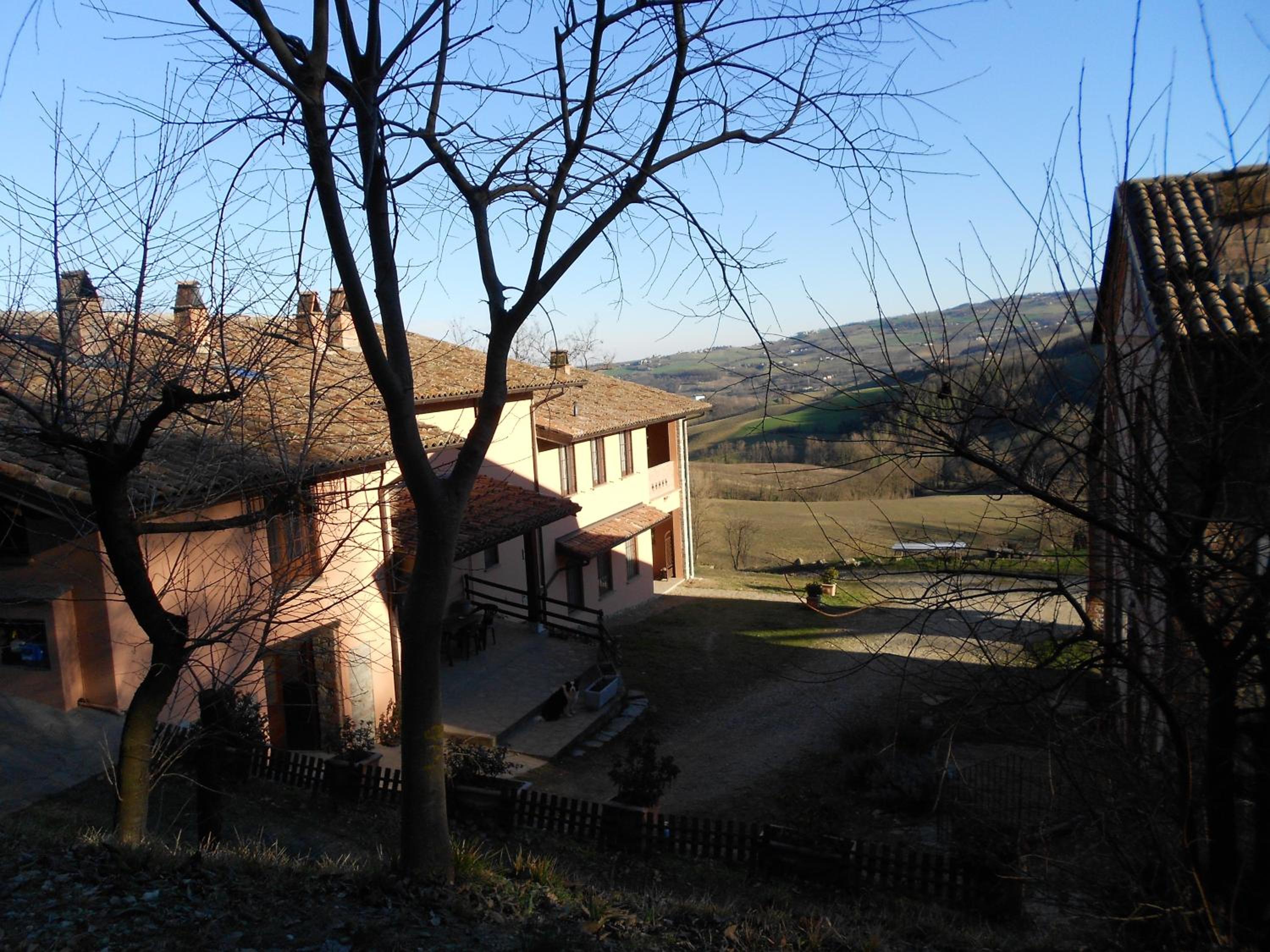 Dietrocosta view 2
