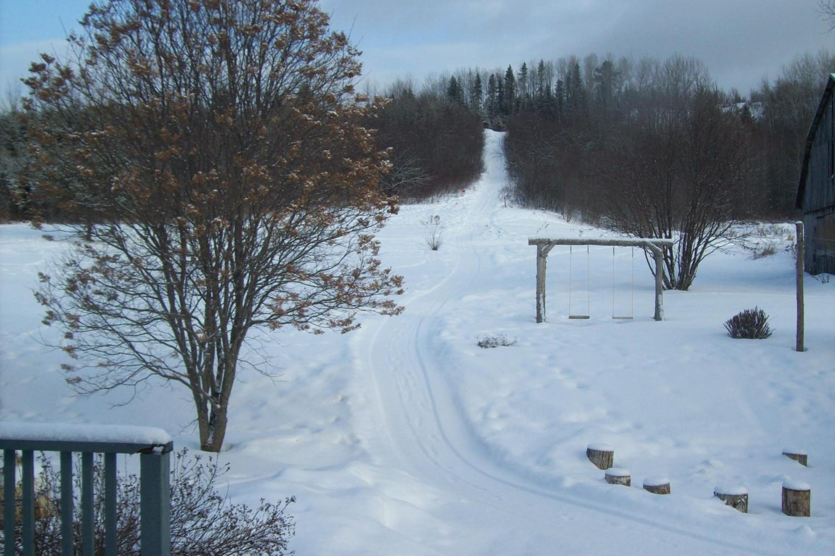 Photo 12