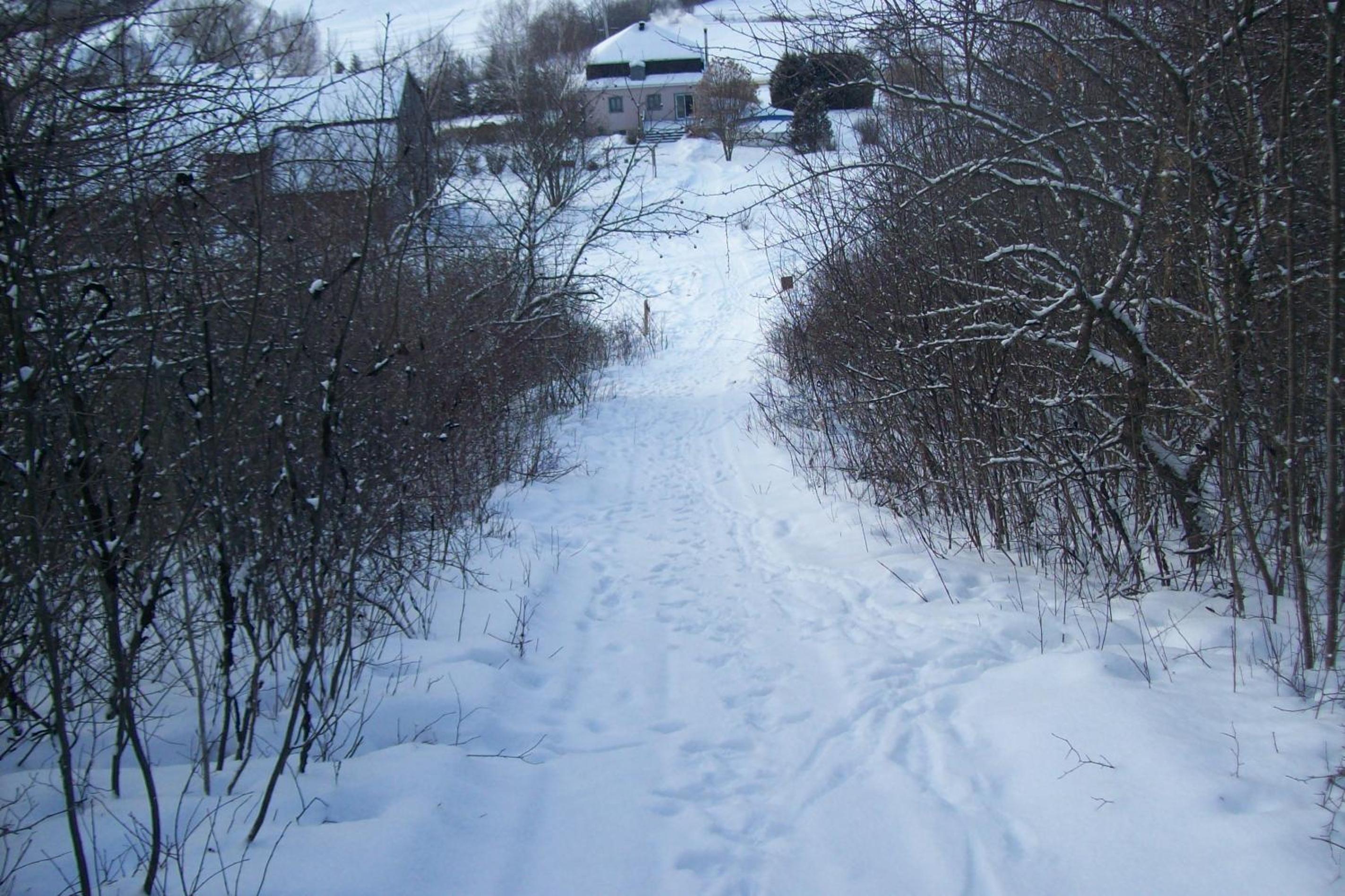 Photo 11