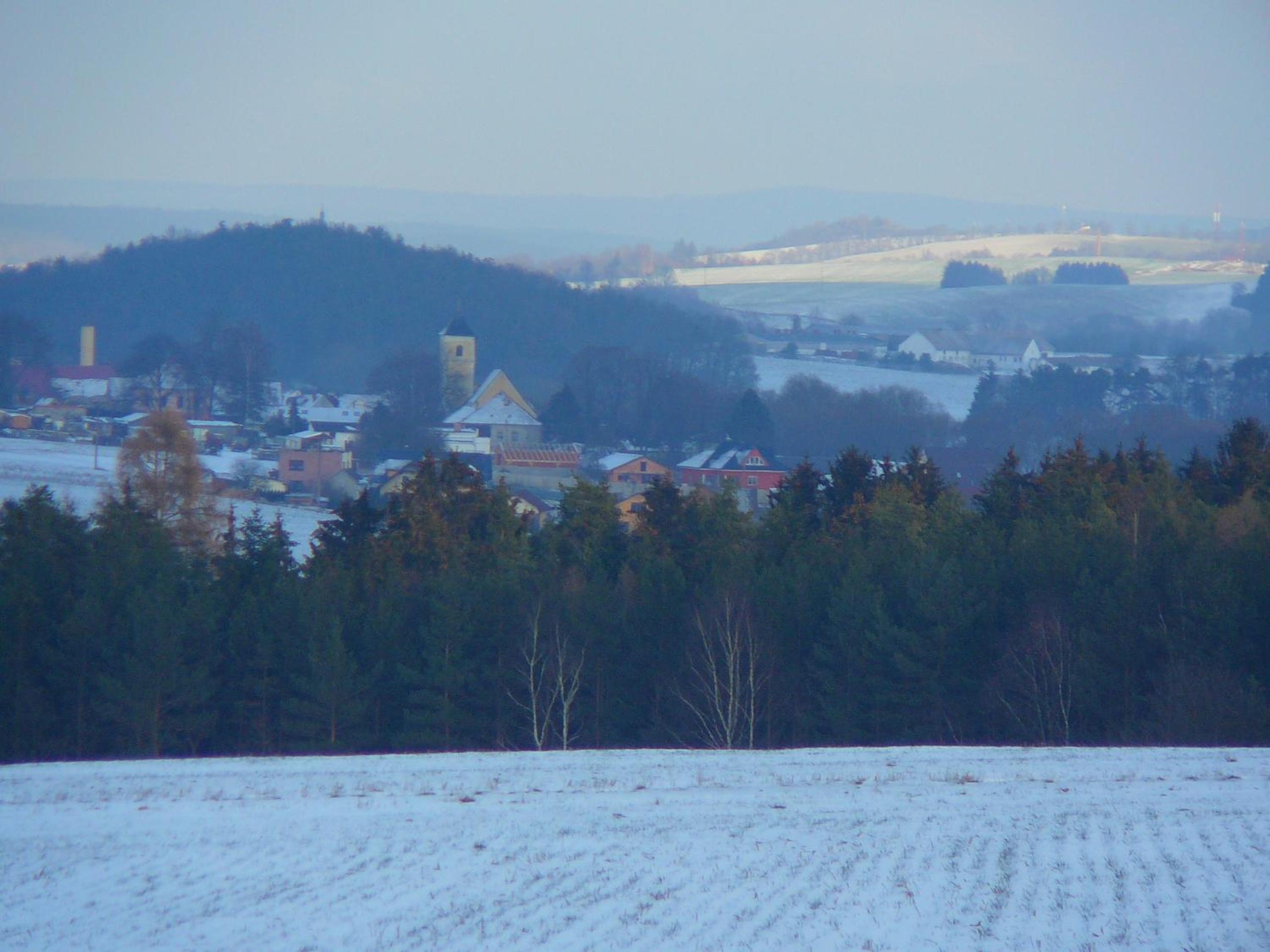 Photo 44