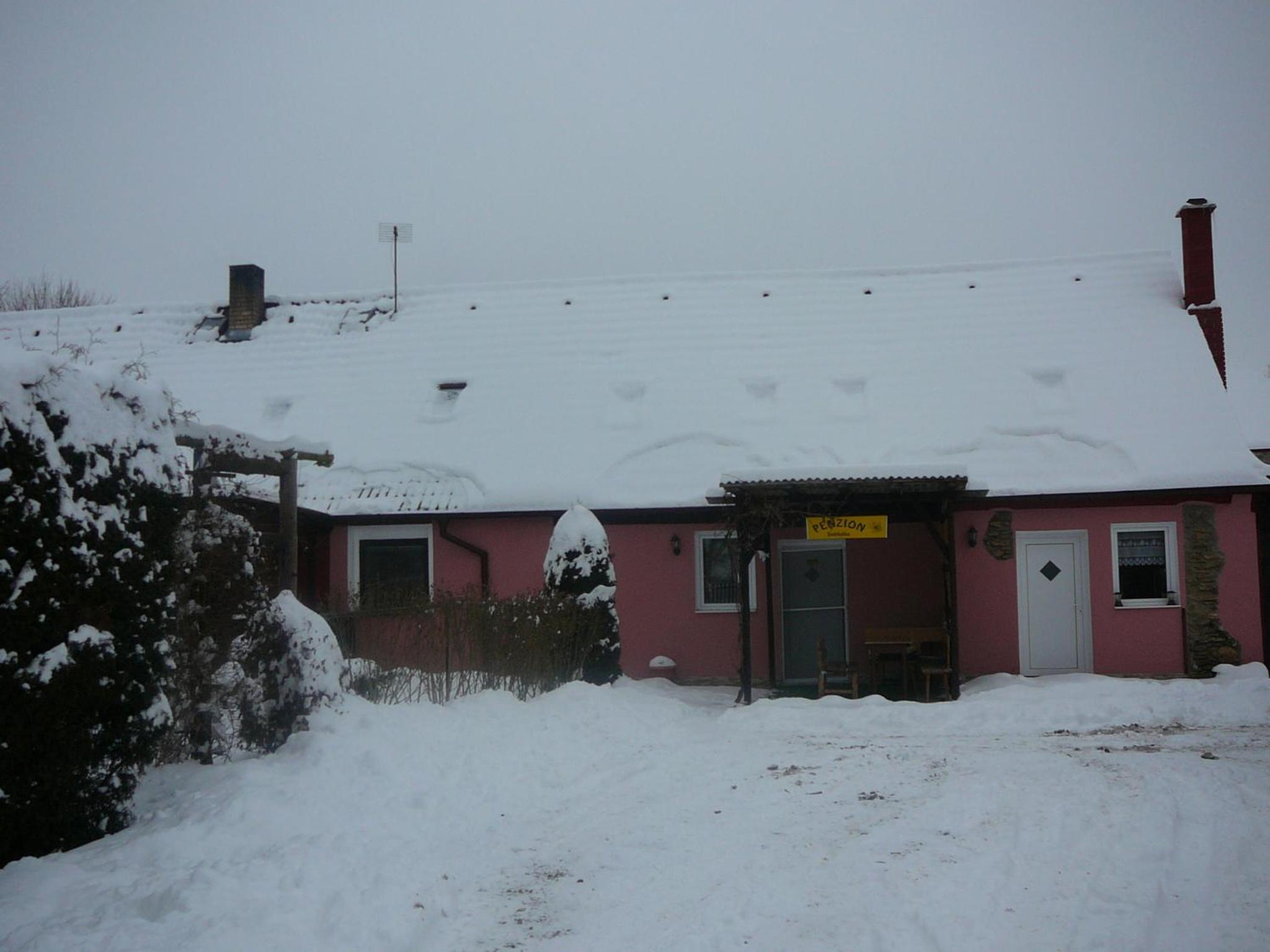 Photo 100