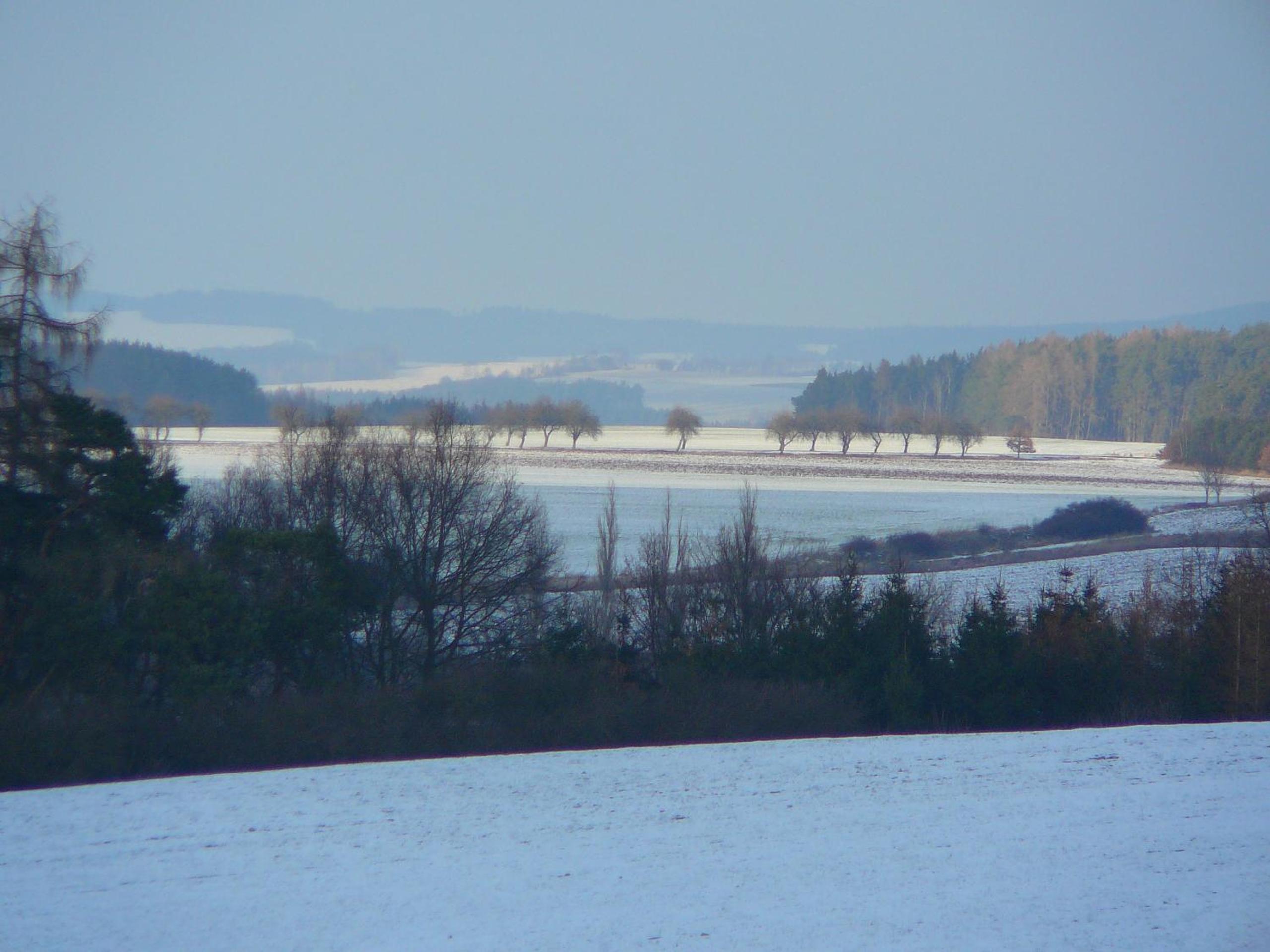Photo 45