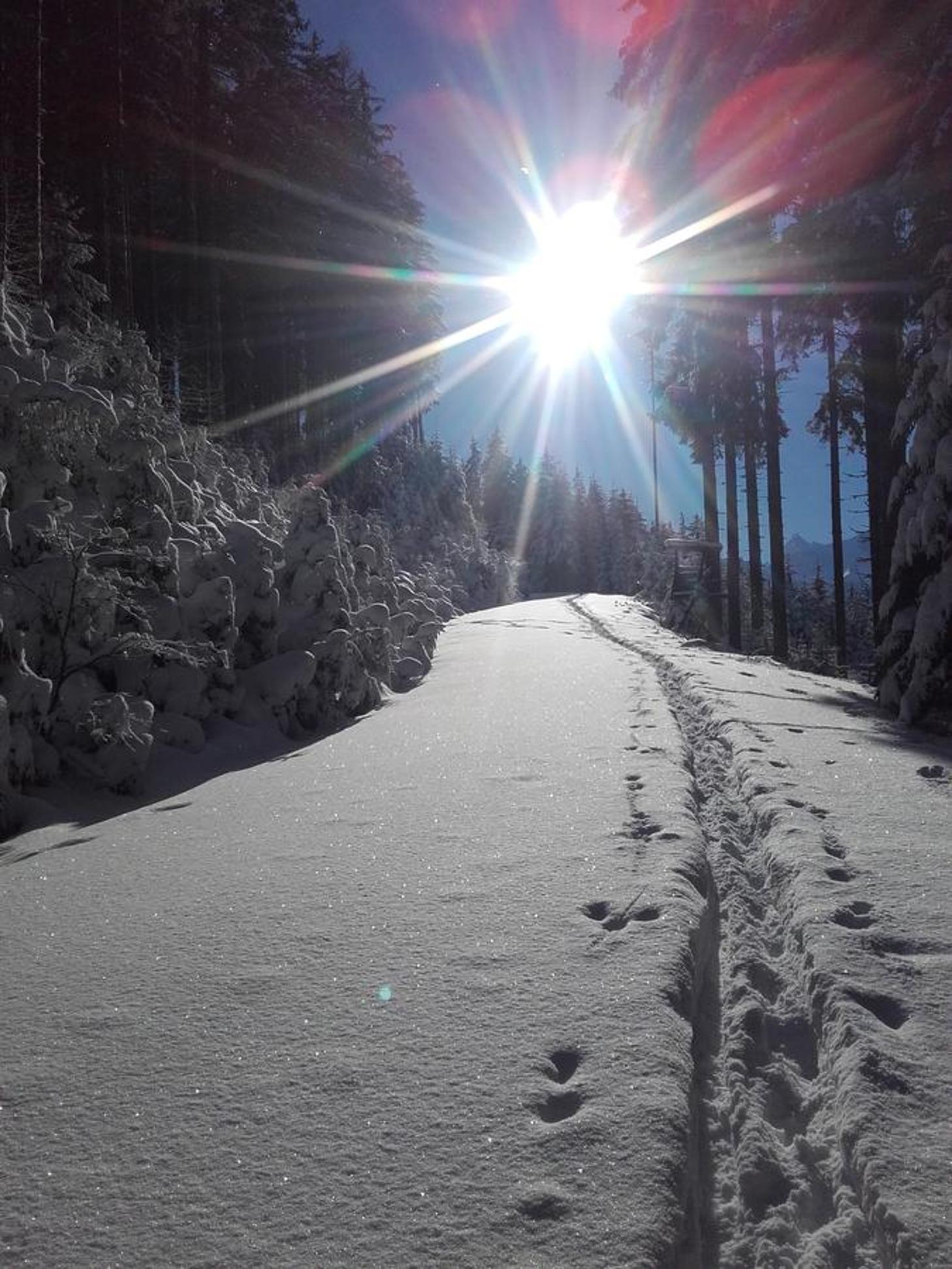 Großberghof