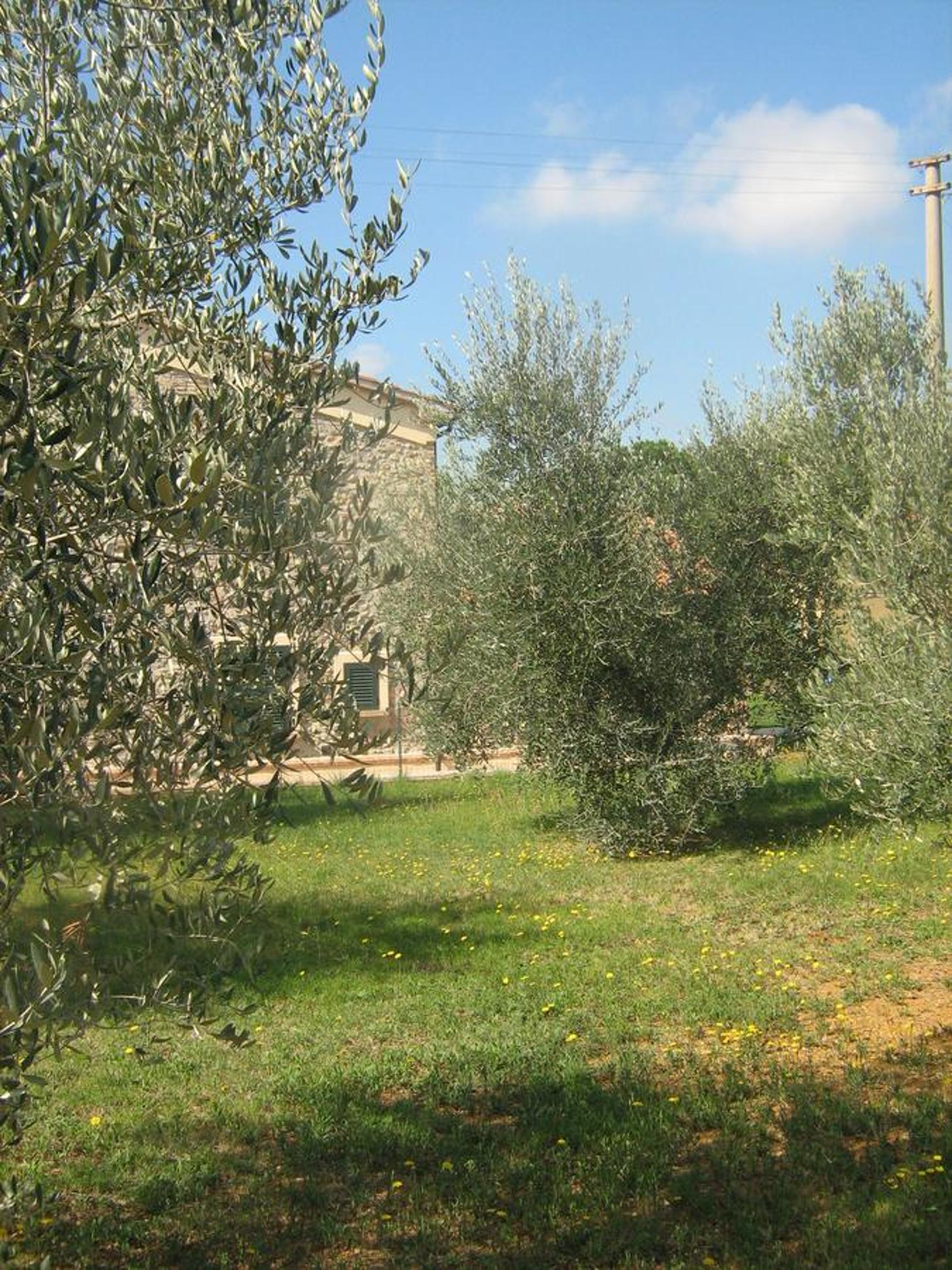 Photo 47