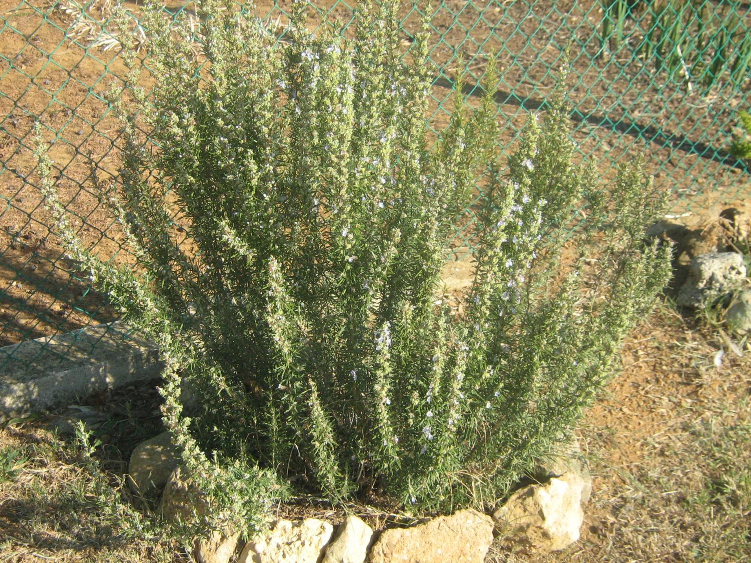 Photo 45