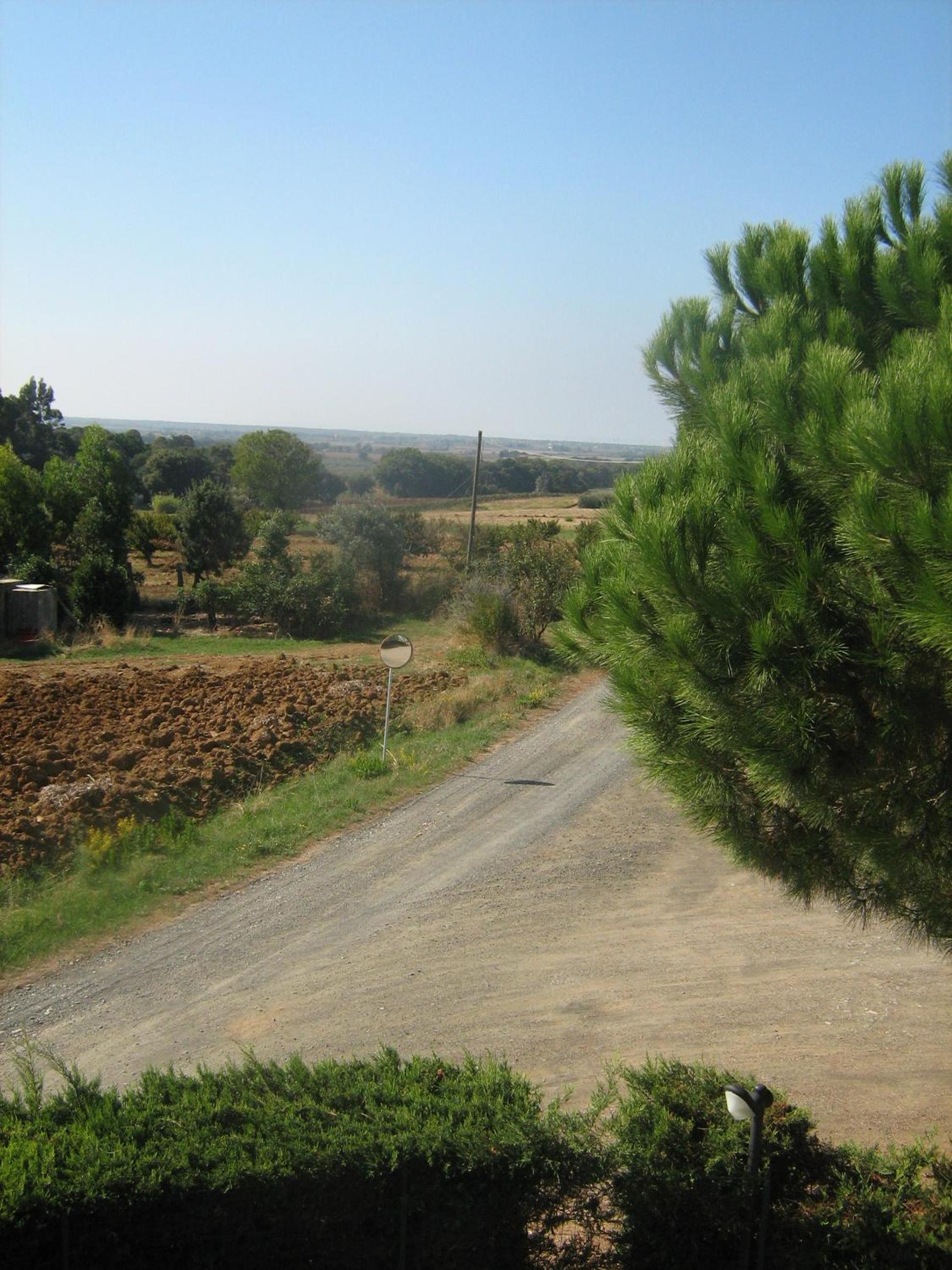 Photo 38