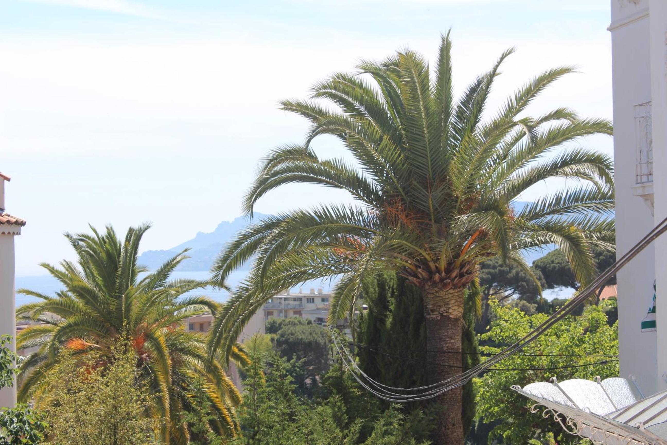 L'ensoleillée Appartement Maison privé Cannes photo 2