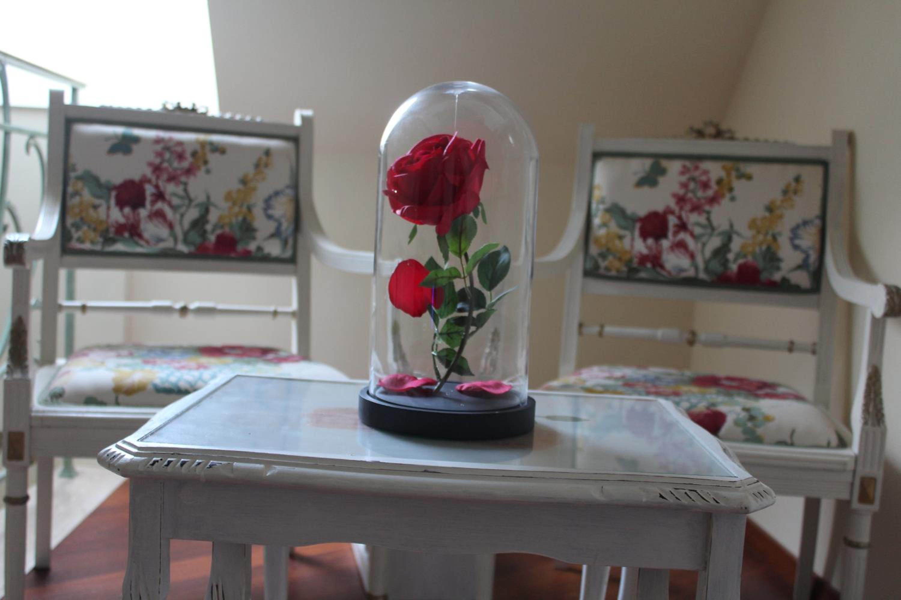 Le Clos Des Roses, photo 22