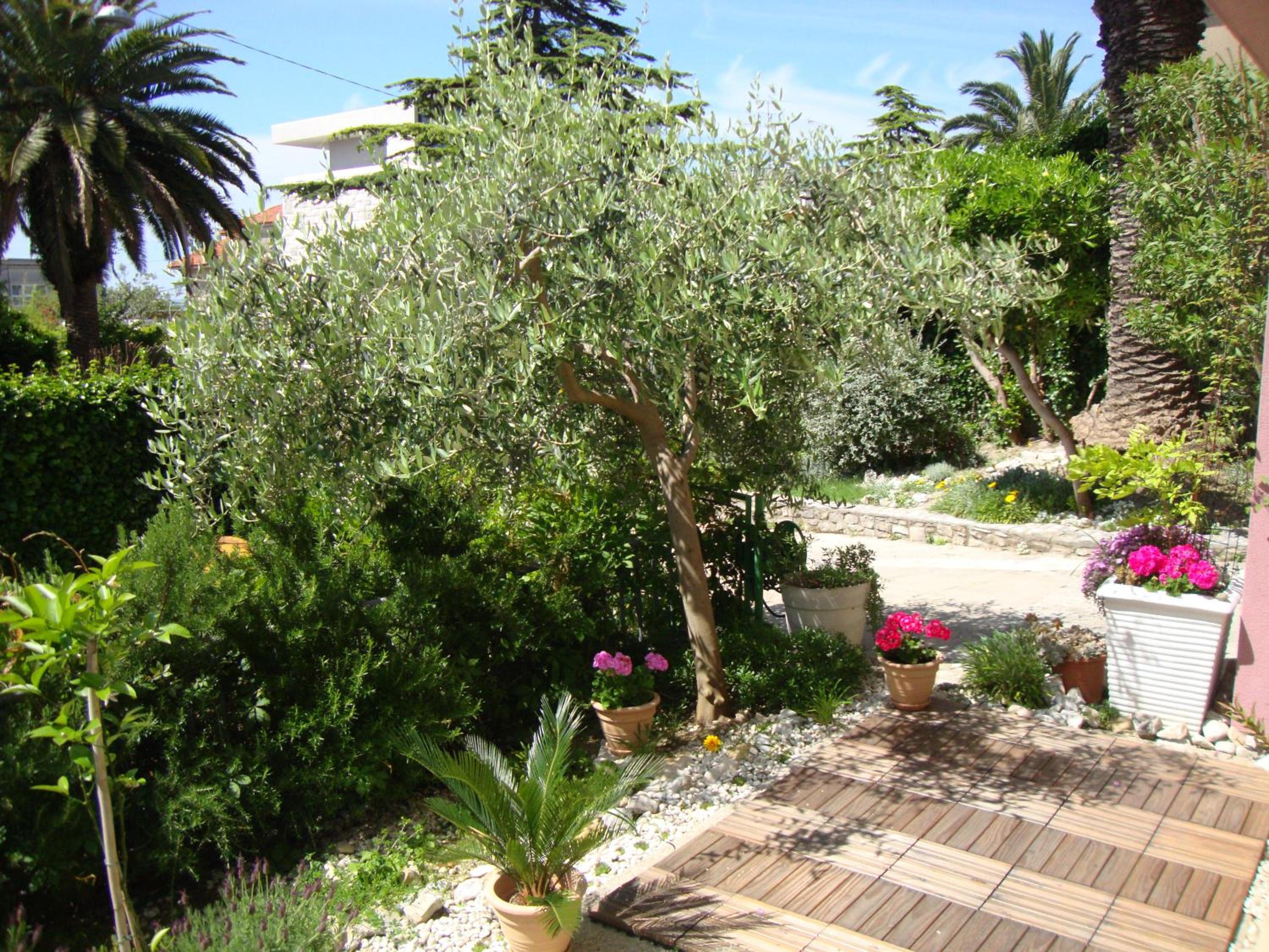 Photo 35