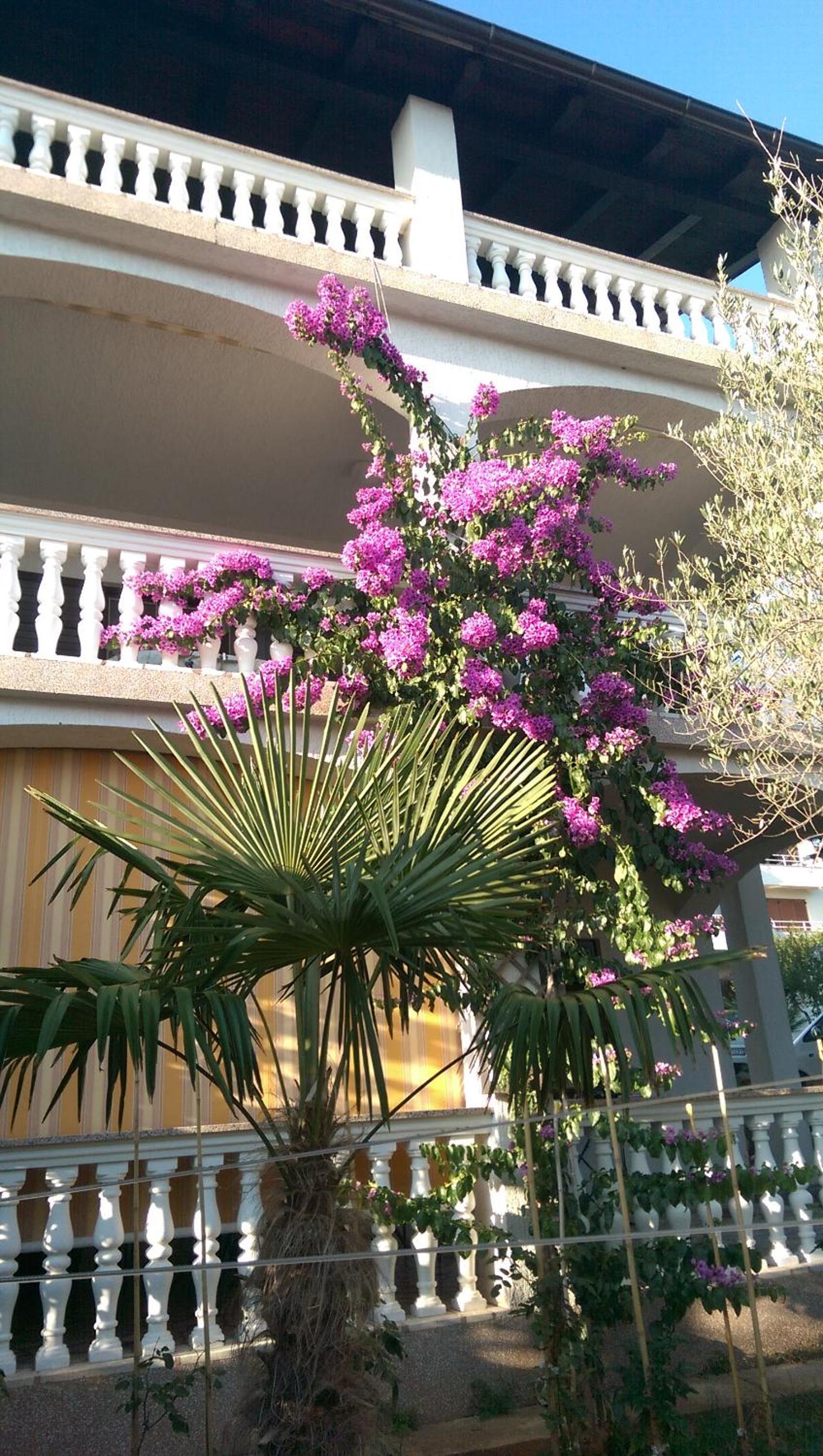 Photo 40