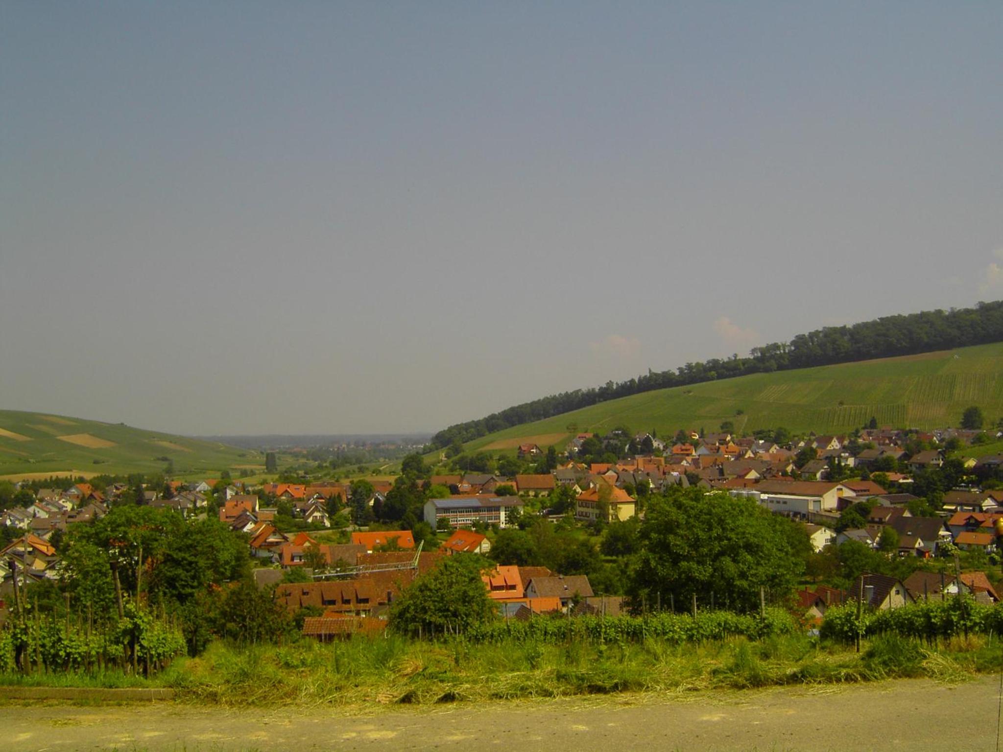 Photo 19